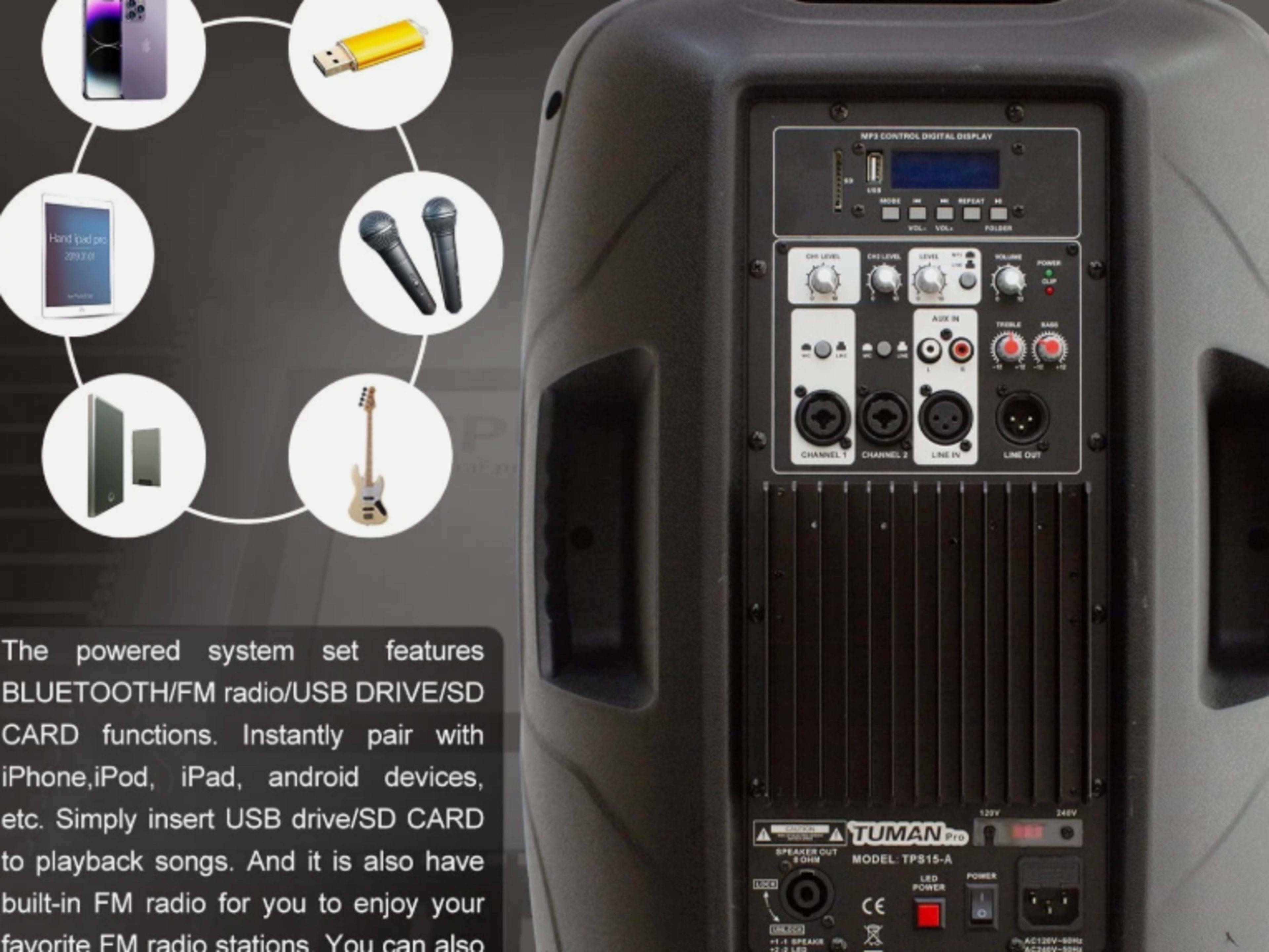 Wireless Speakers & 2 Mics