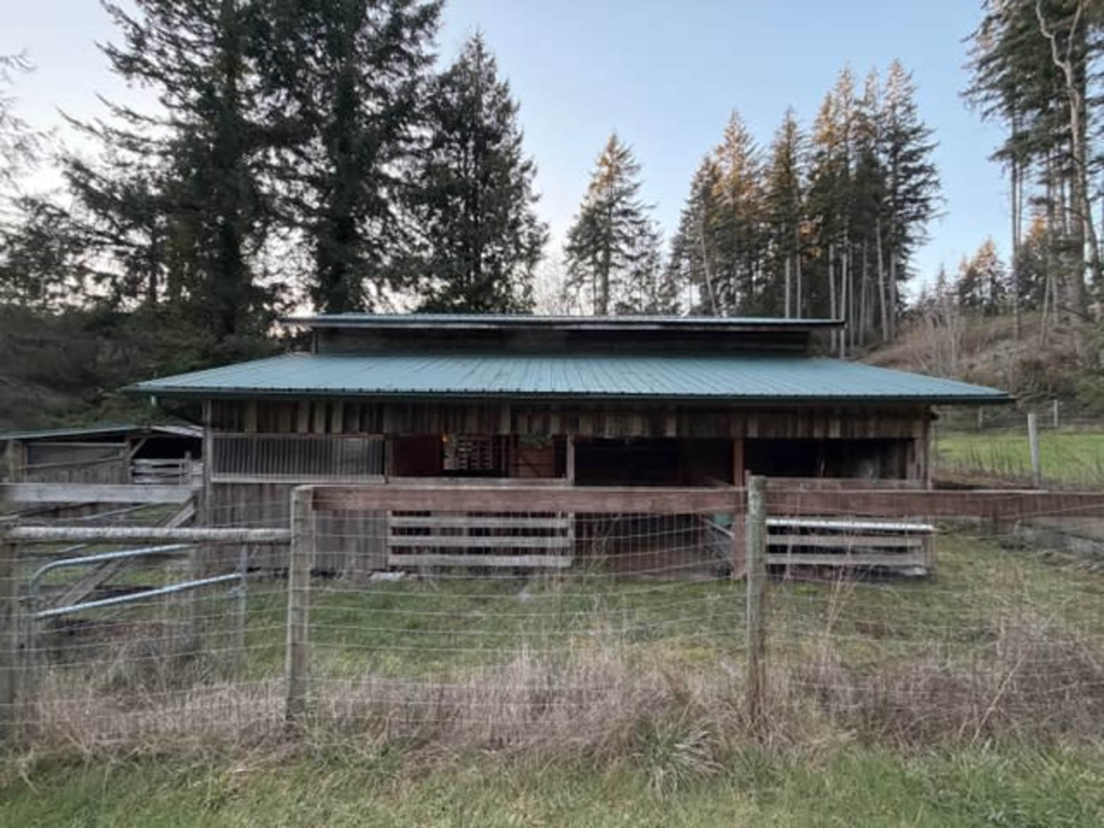 A wooden barn with a metal roof is situated in a field, surrounded by tall trees.