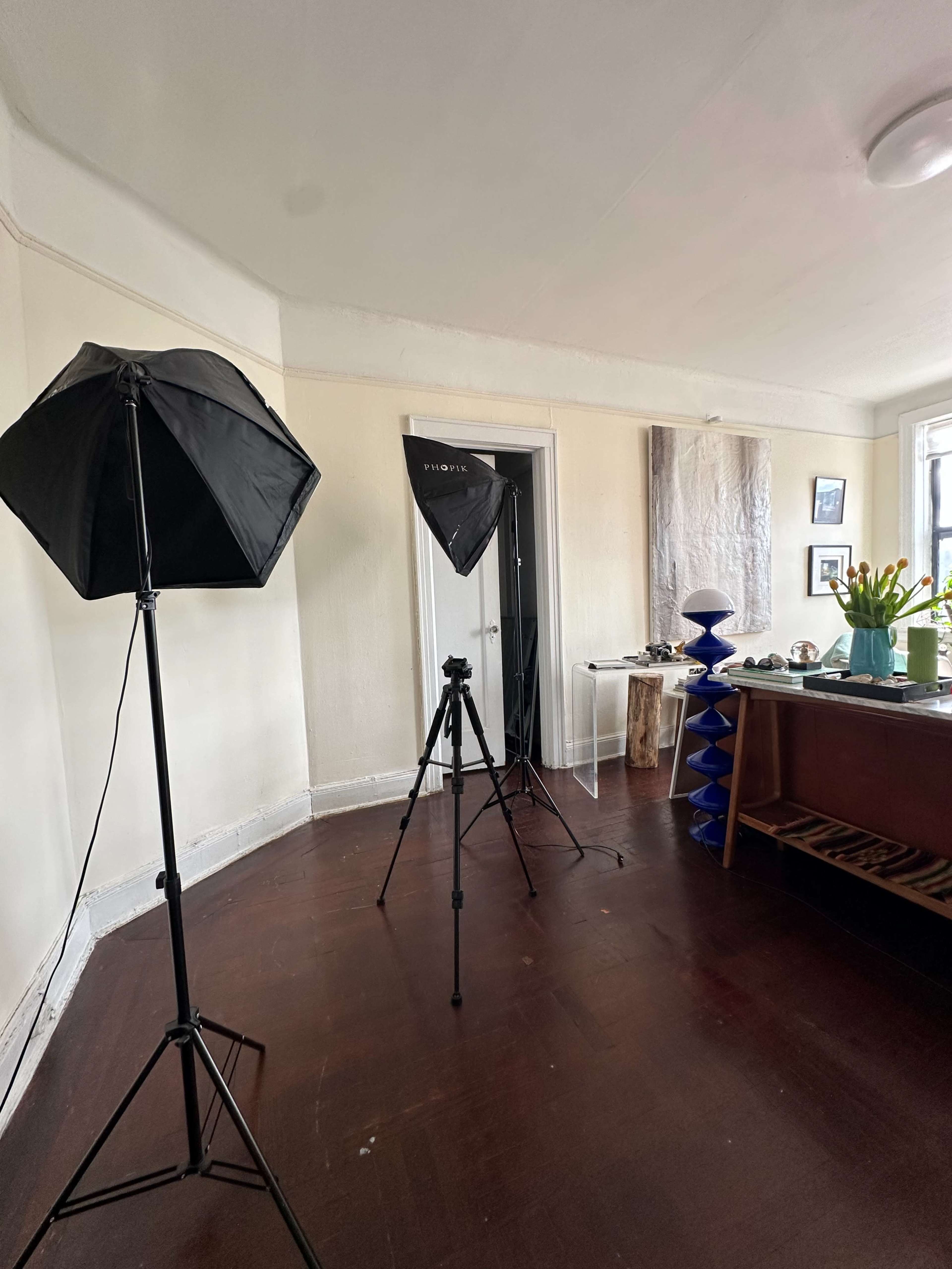 The image shows a room with two photography light stands, a tripod, a vase of flowers on a table, and a decorative blue object in the corner.