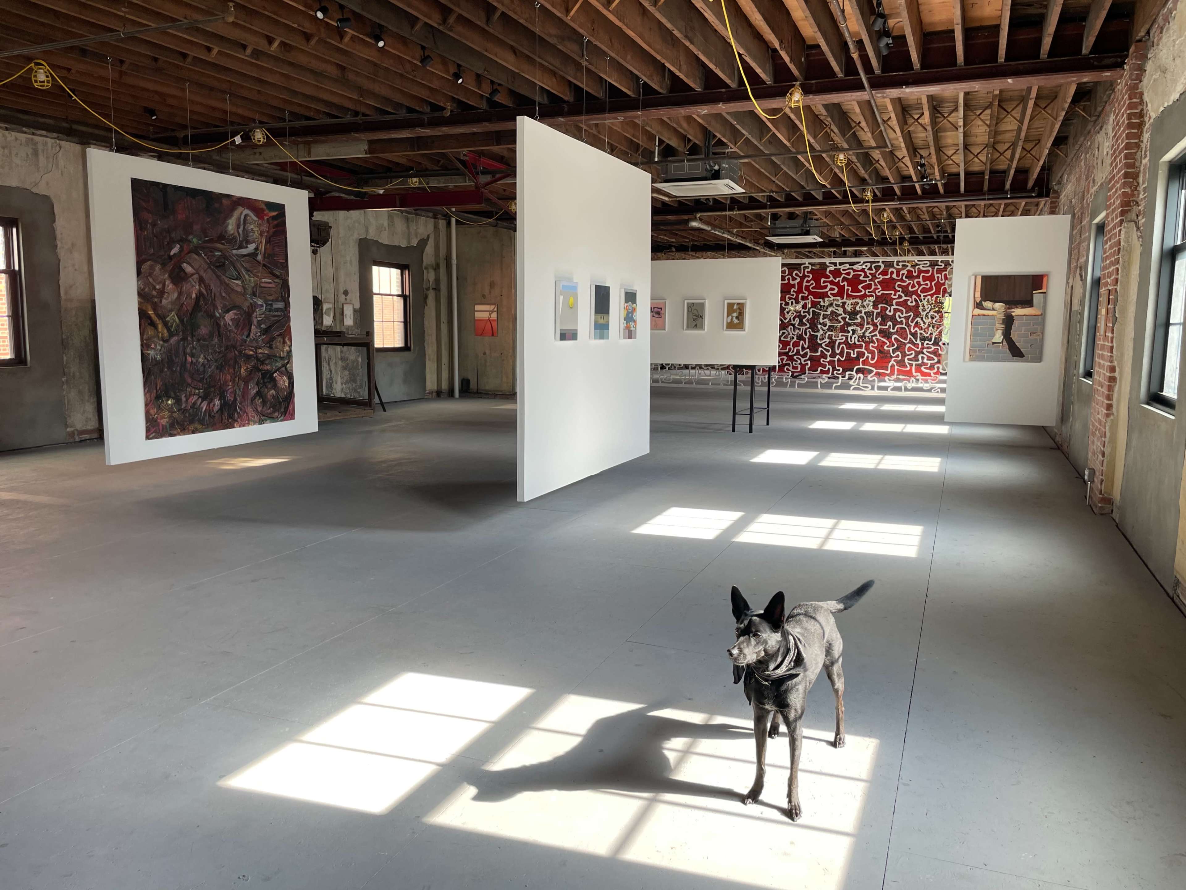 An art gallery with white walls displaying various artworks, and a dog standing on the floor with light filtering in through windows.