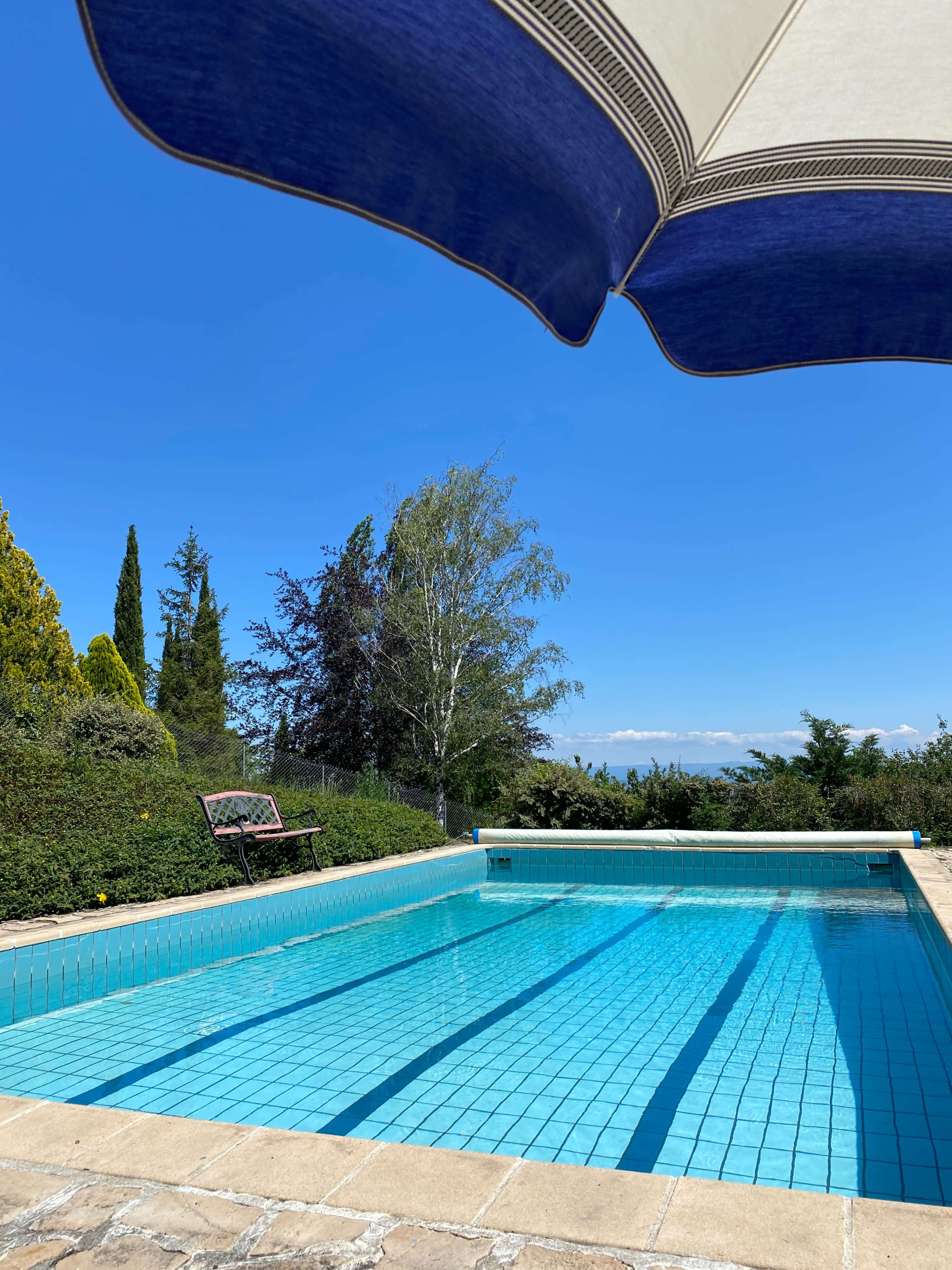 The image shows a swimming pool surrounded by greenery, under a blue and white striped umbrella, with a clear sky in the background.