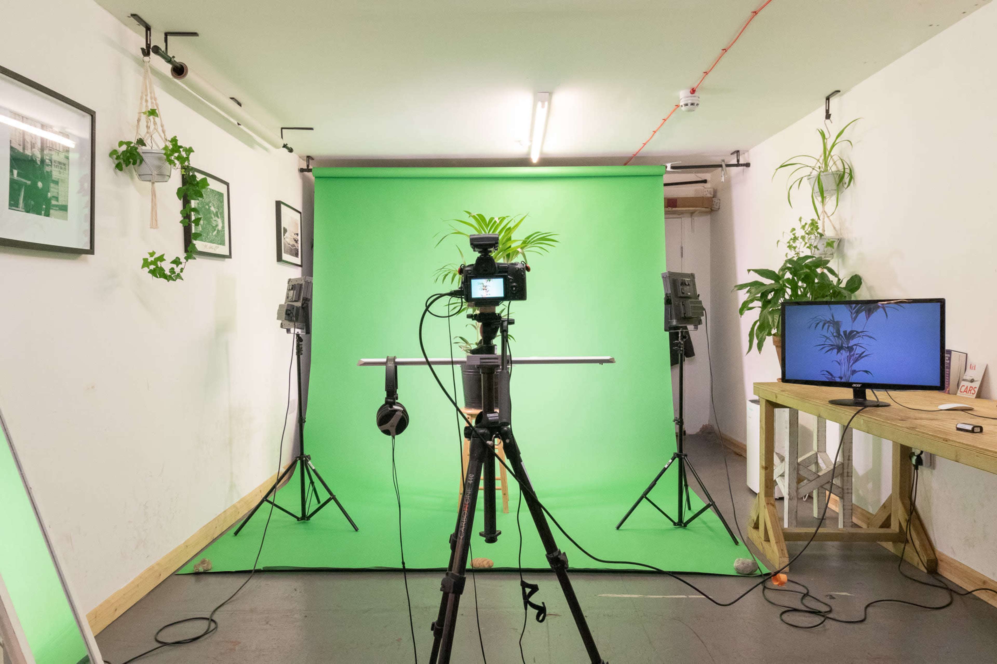 A camera is set up on a tripod facing a green screen in a studio surrounded by plants and lights.