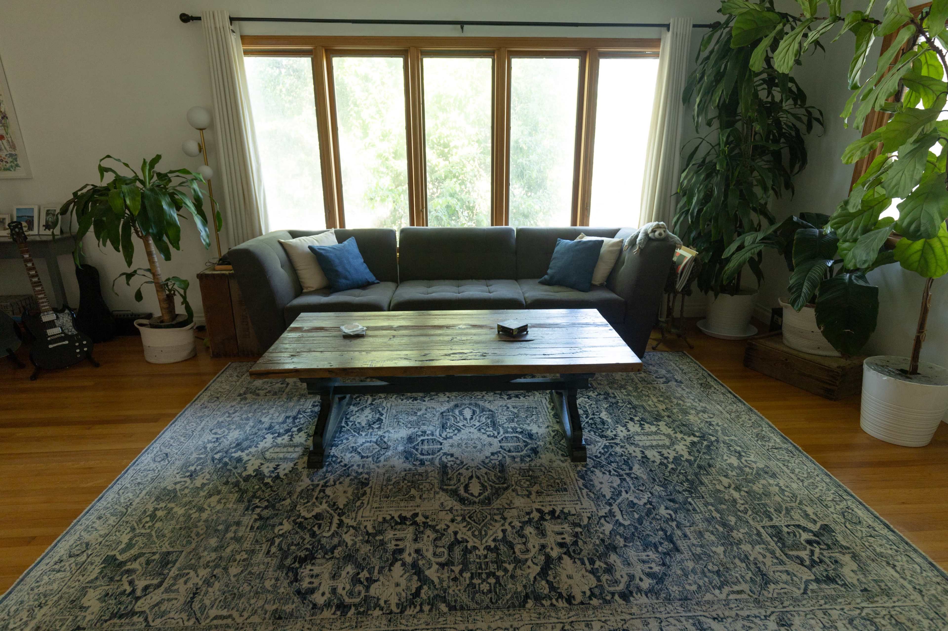 A living room with a gray sofa, a wooden coffee table, large windows, and several indoor plants.