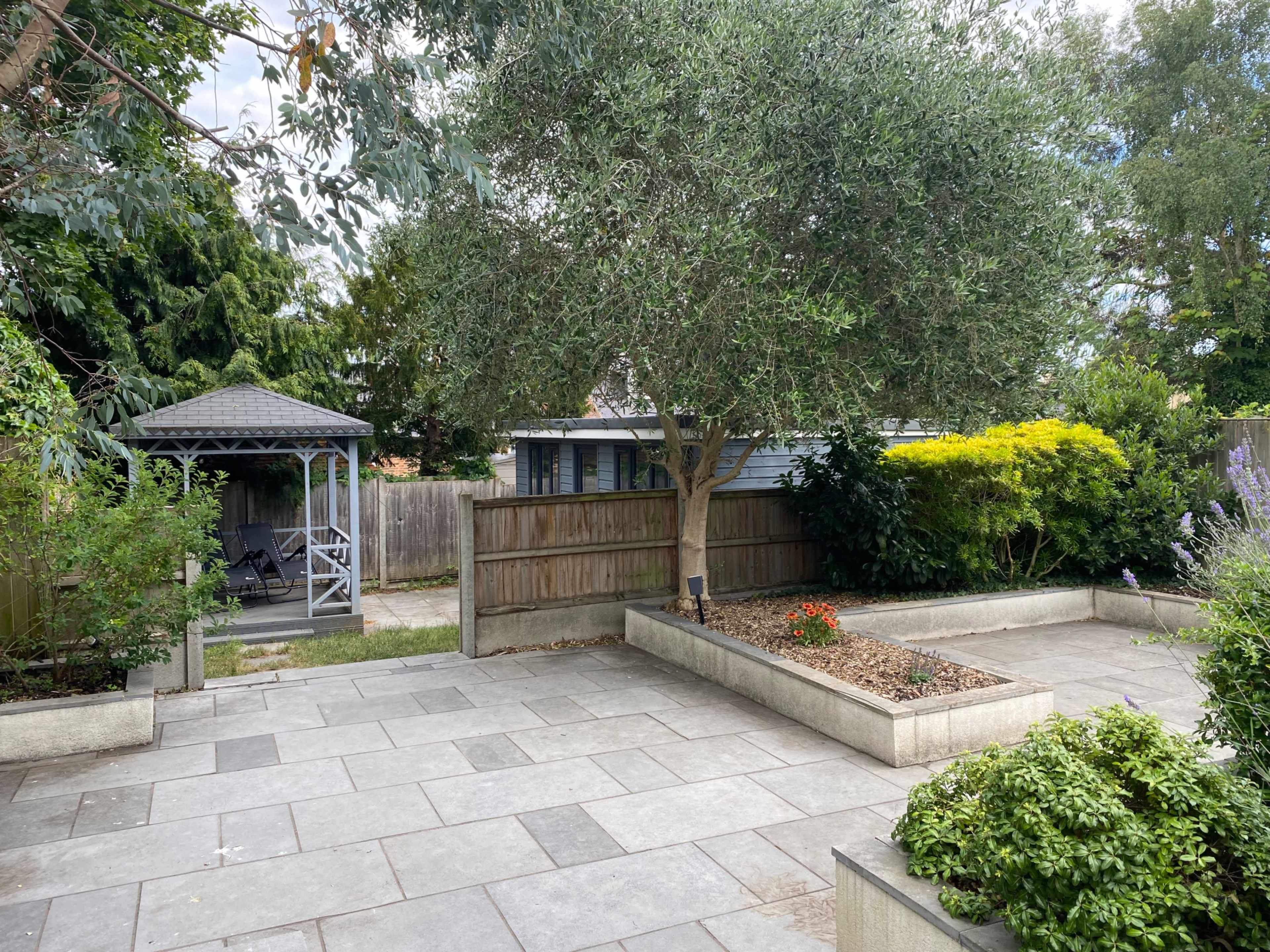 The image shows a landscaped garden featuring a gazebo in the background, paved stone flooring, a flourishing olive tree, and low shrubbery.