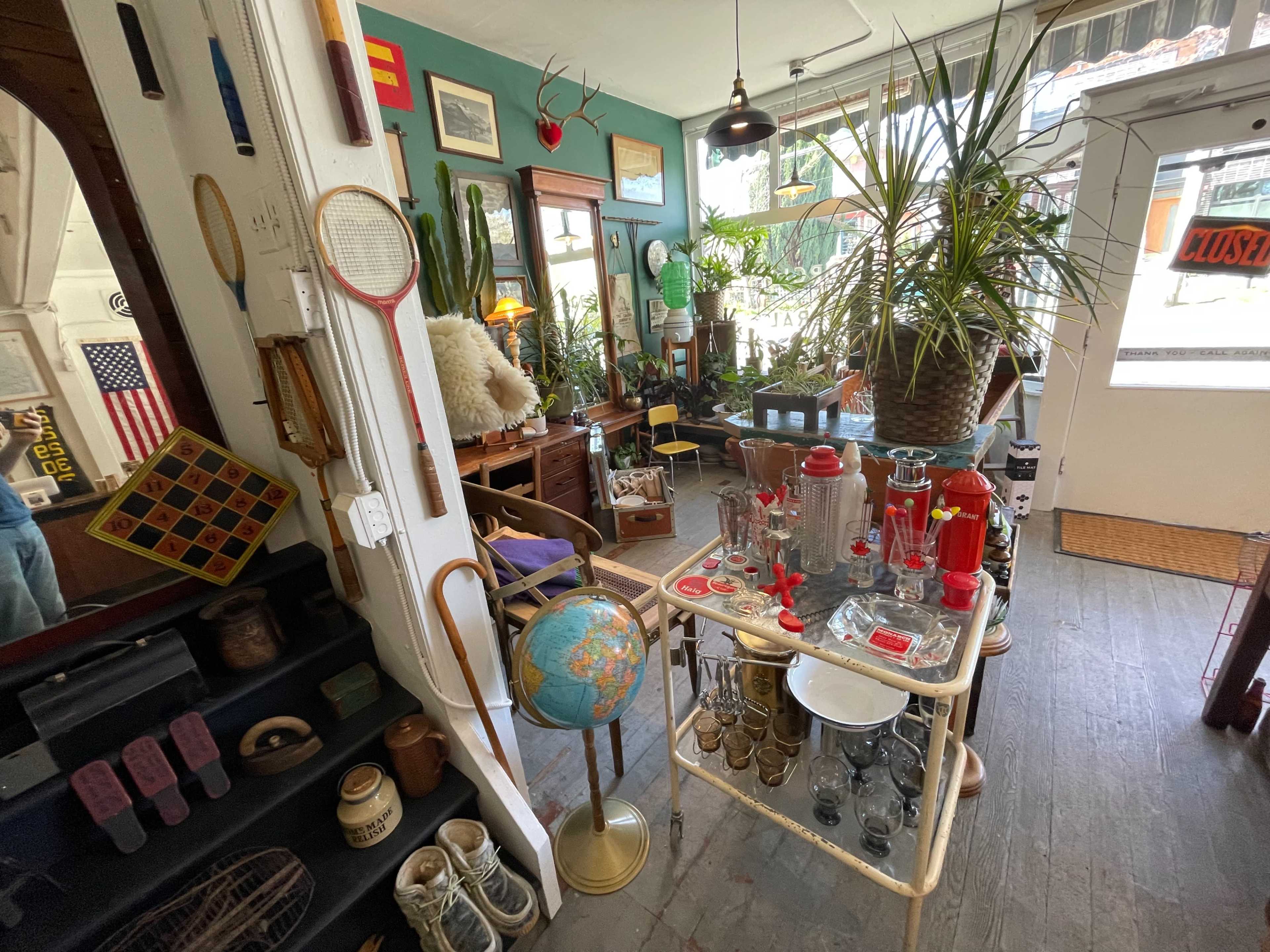 A cozy vintage shop filled with eclectic furniture, decorative items, and plants.