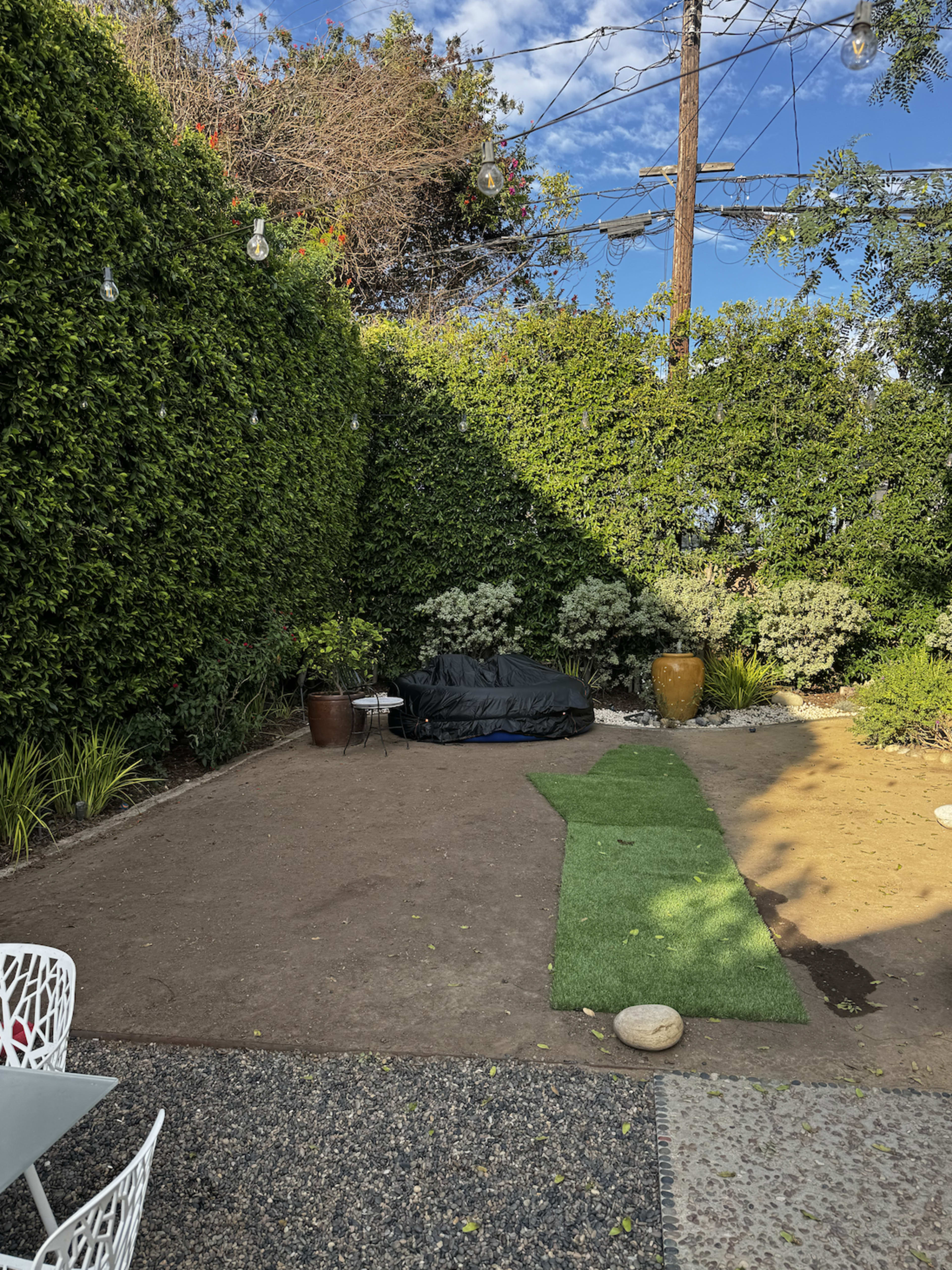 Mid-Century Eclectic in Santa Monica with Backyard Image in Sunset Park, Santa Monica, CA