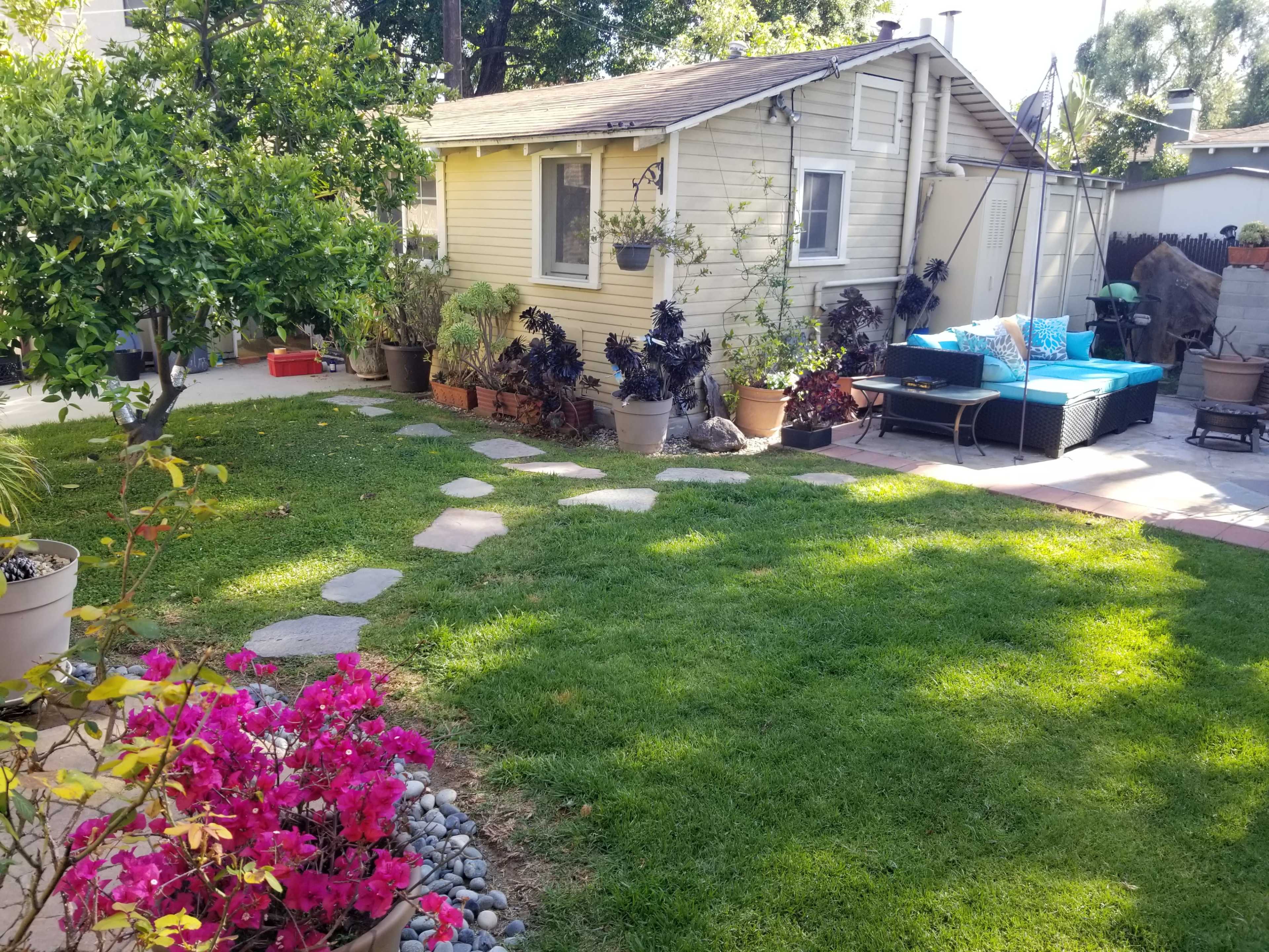 The image shows a backyard with a small yellow shed, a stone pathway, a grassy area, and various potted plants including colorful flowers.