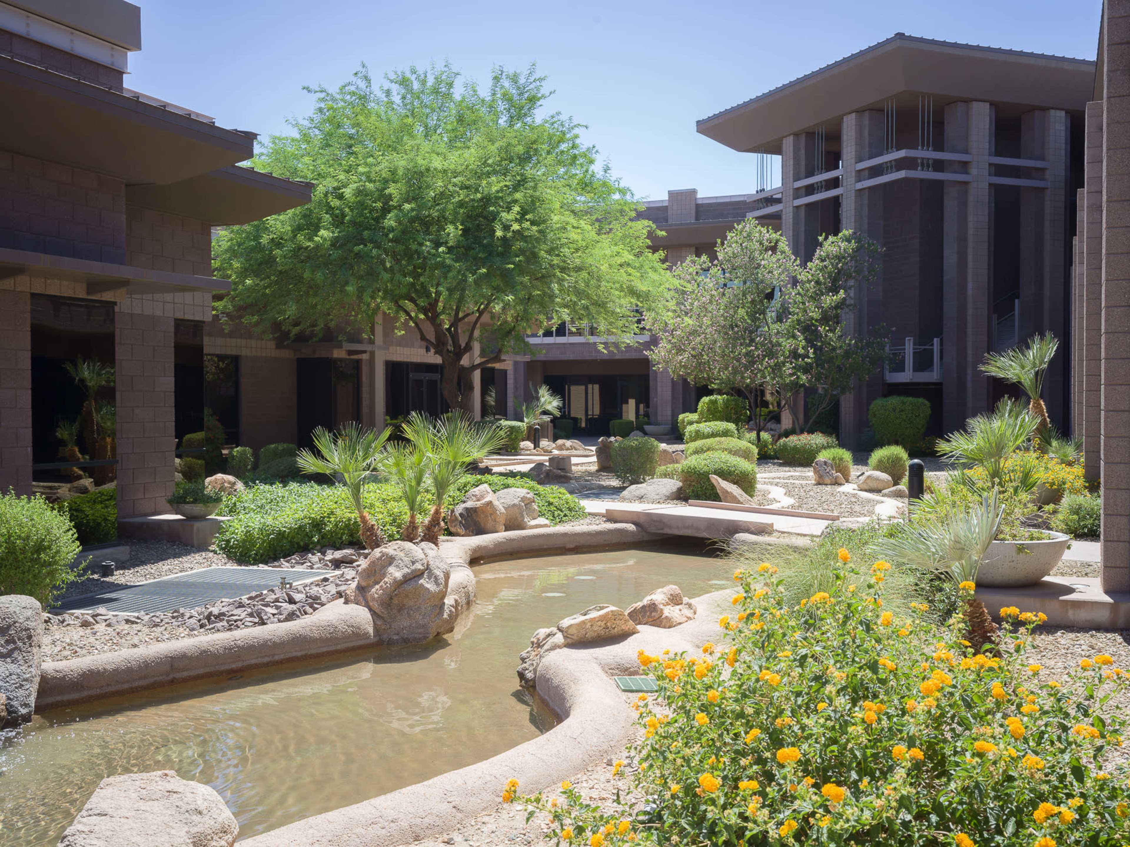 The image depicts a landscaped courtyard featuring flowing water, rocks, and various plants surrounding modern buildings.