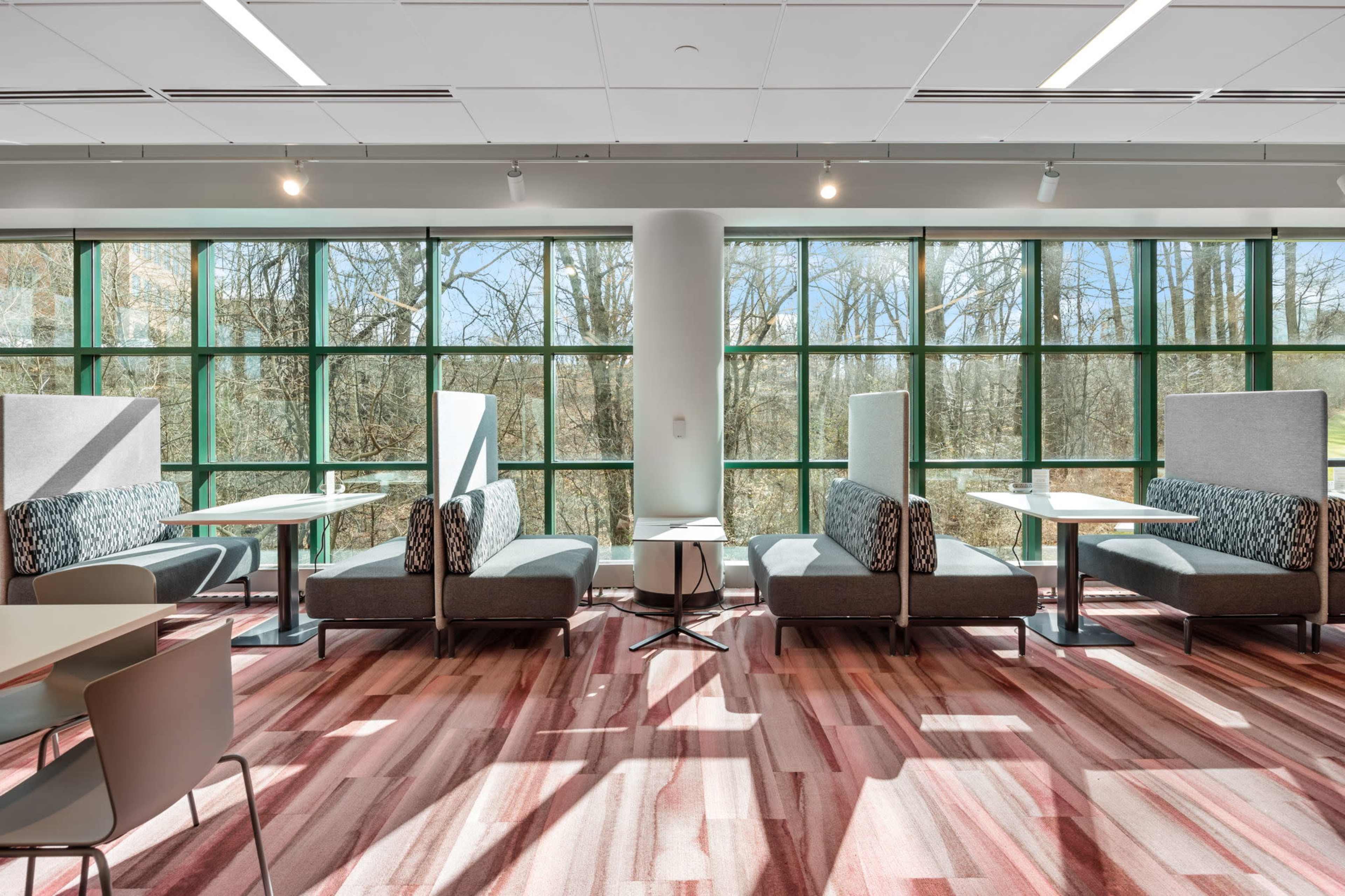 A bright, modern interior with seating booths and large windows overlooking a wooded area.
