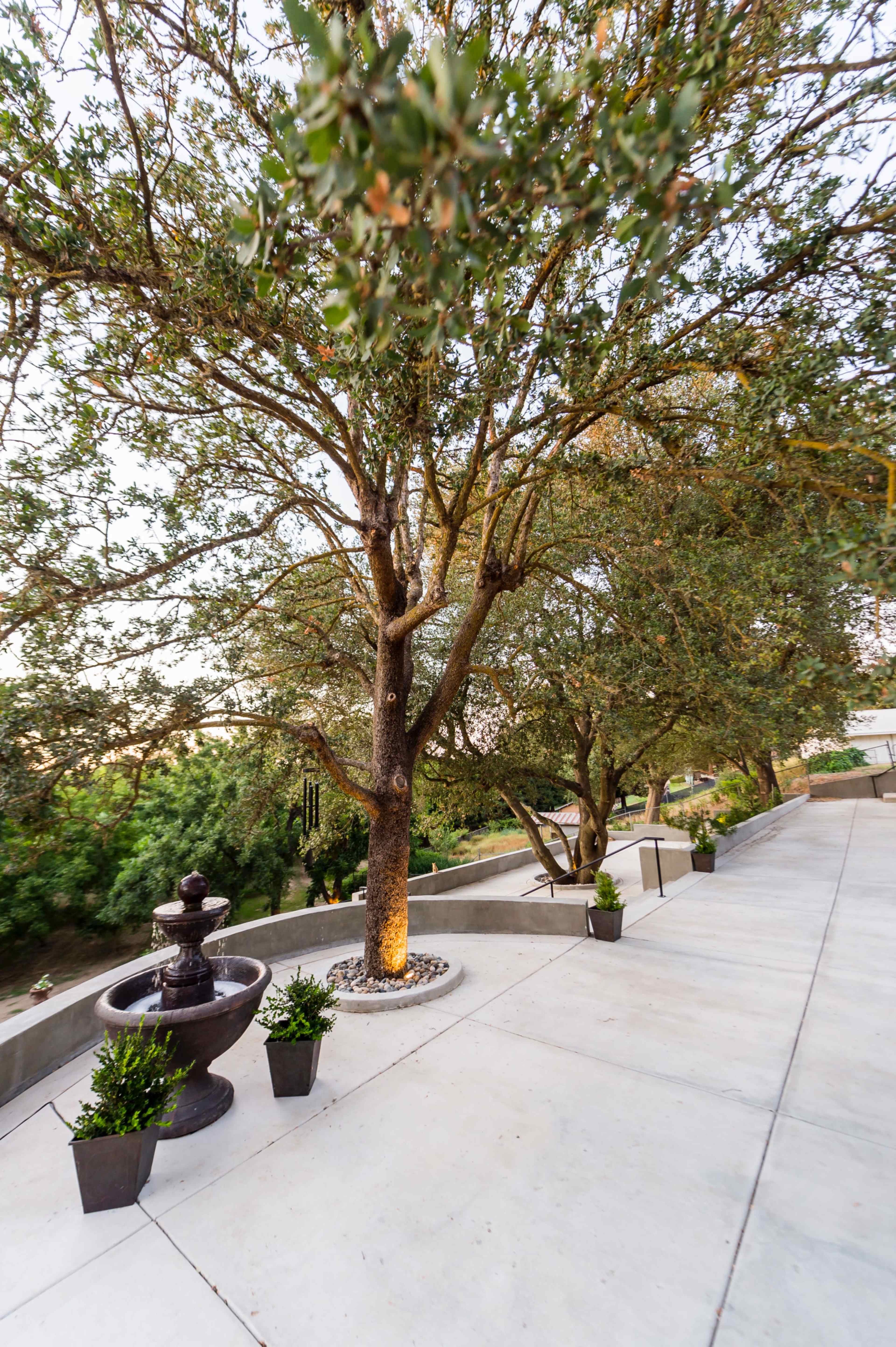 A concrete patio features several large trees, a stone fountain, and potted plants along the edge.
