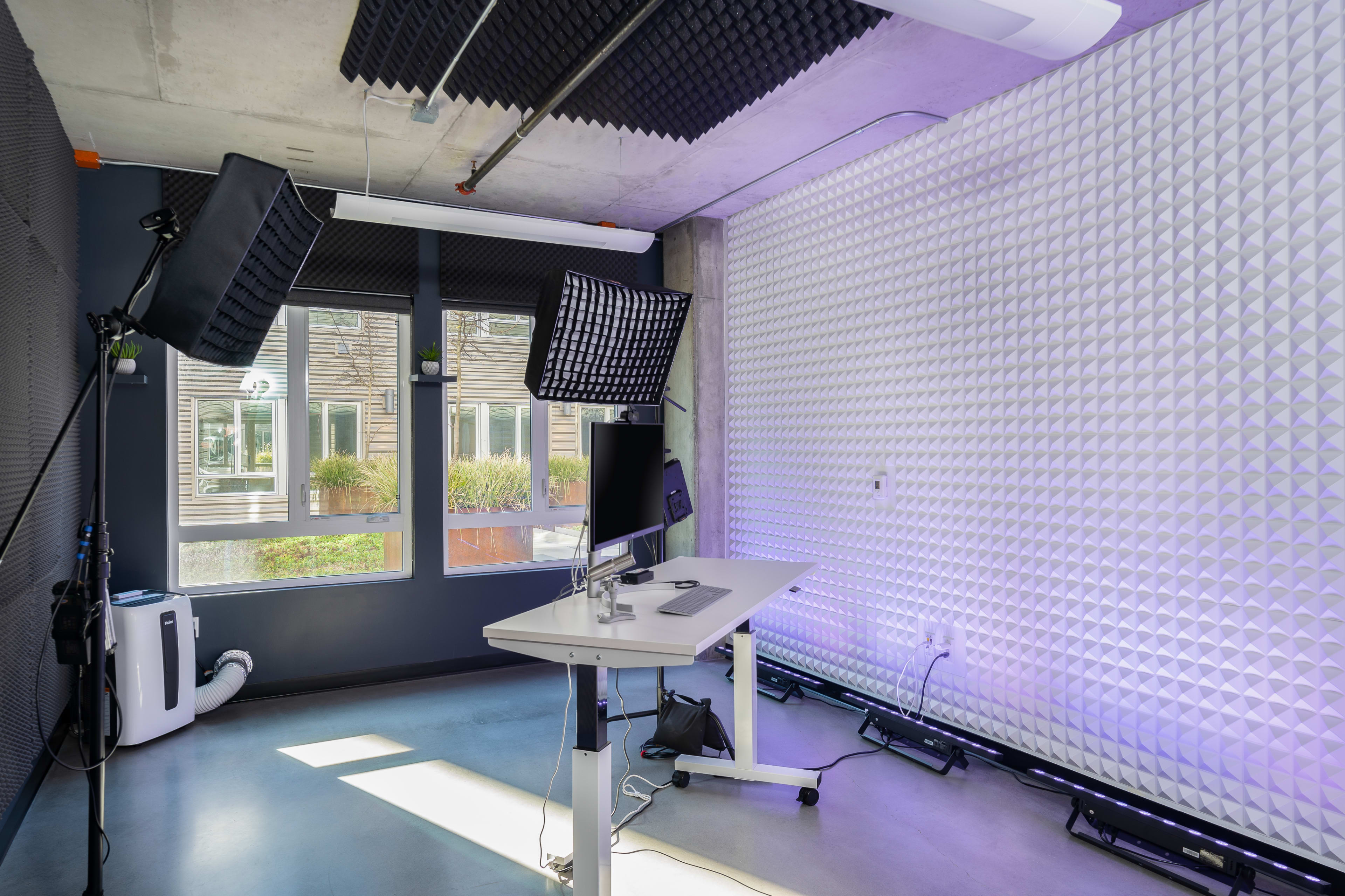 A modern office space with soundproof panels, a standing desk, and window views of a garden outside.