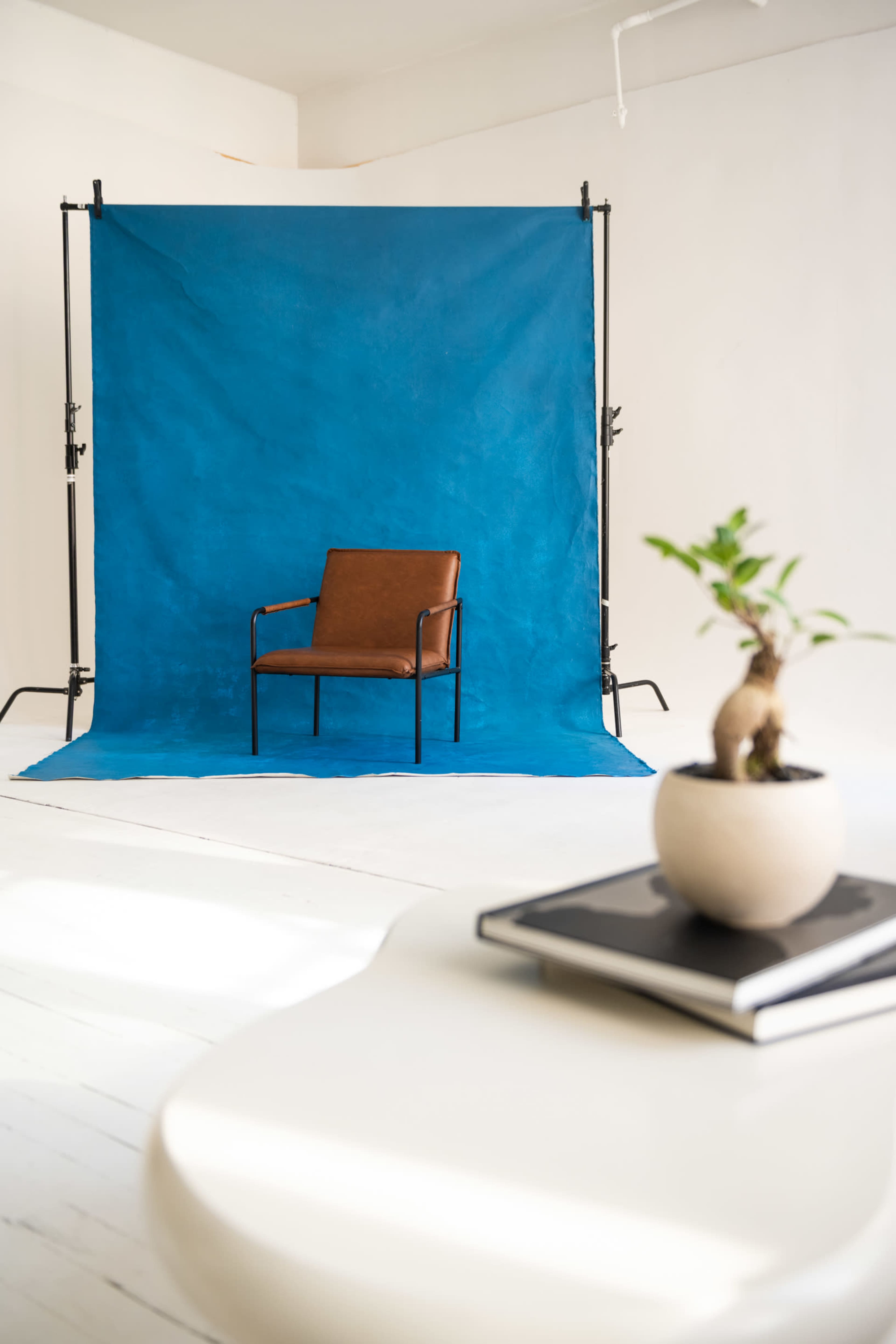A brown chair is positioned in front of a vibrant blue backdrop in a brightly lit, minimalistic studio space.