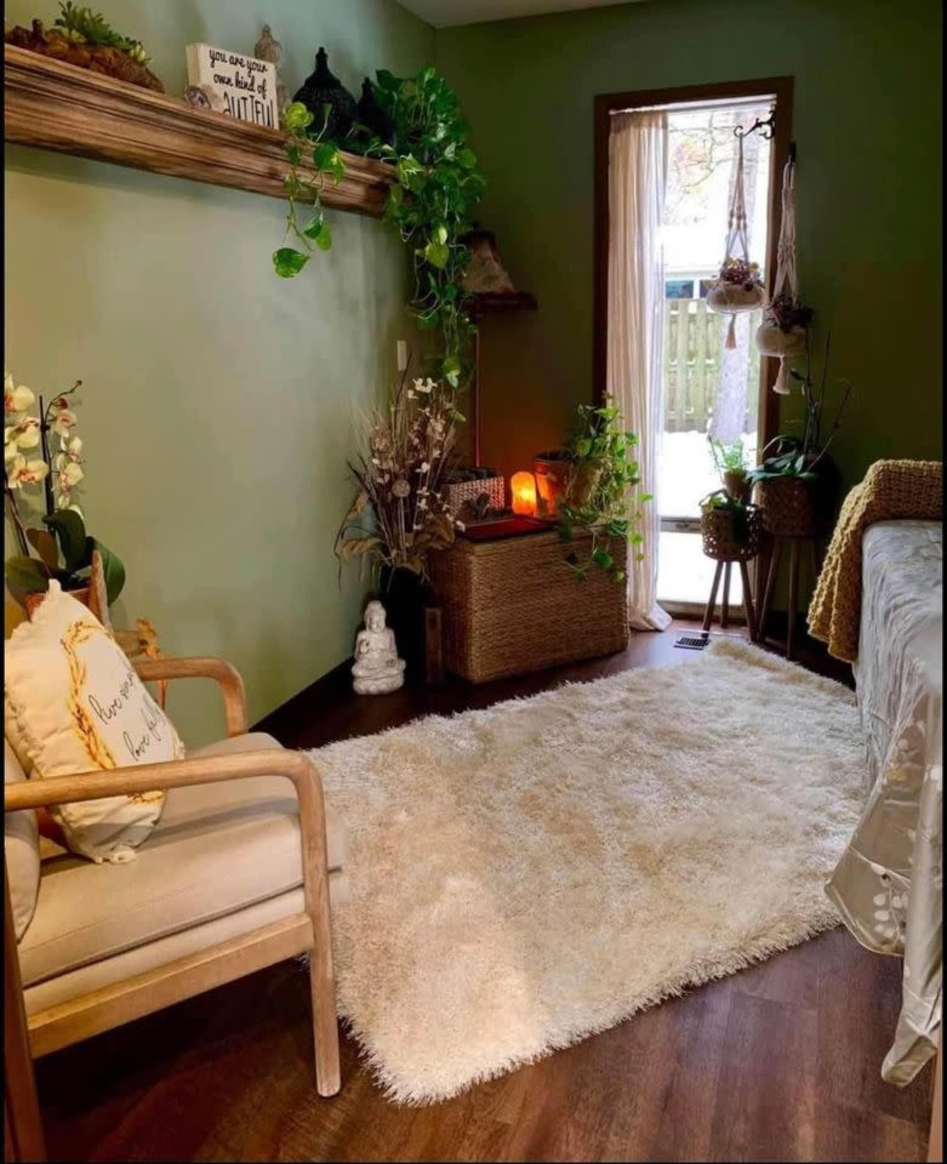 A cozy room with green walls, featuring a chair, a decorative shelf with plants, and a door leading to an outdoor area.