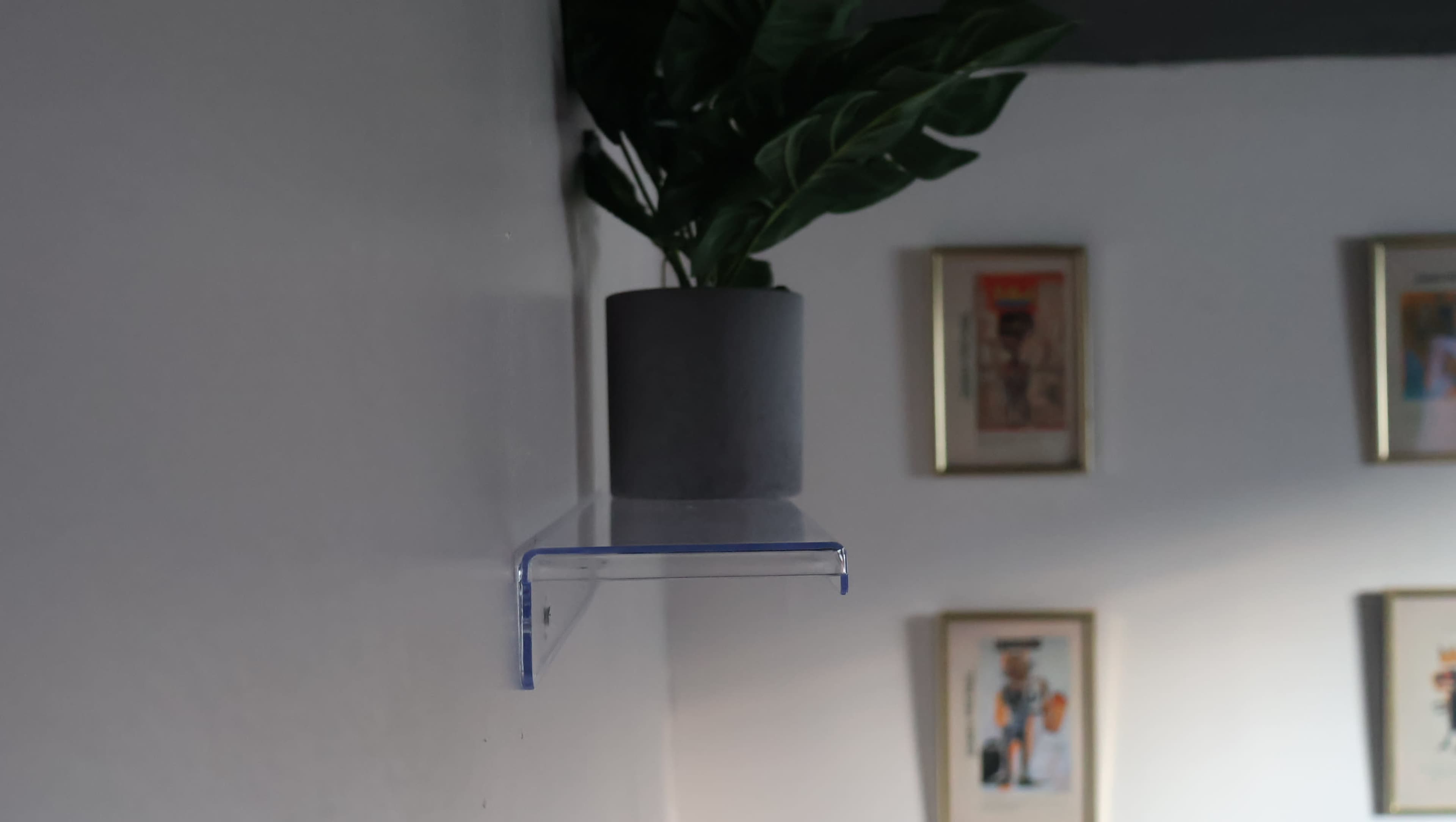 A clear acrylic shelf holds a potted plant against a wall, with framed artwork visible in the background.