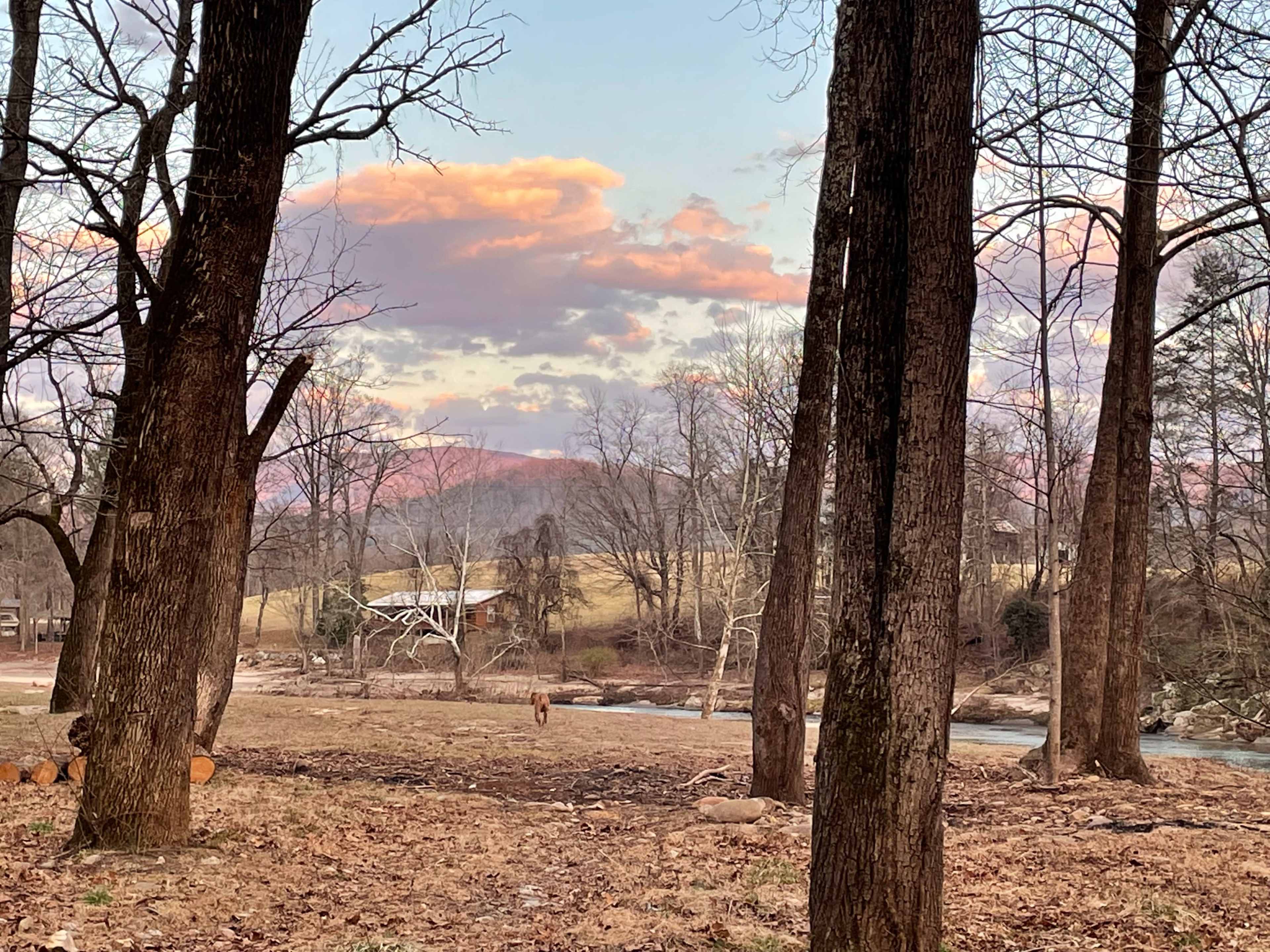 A person walks along a riverbank surrounded by bare trees and mountains in the background under a colorful sky.