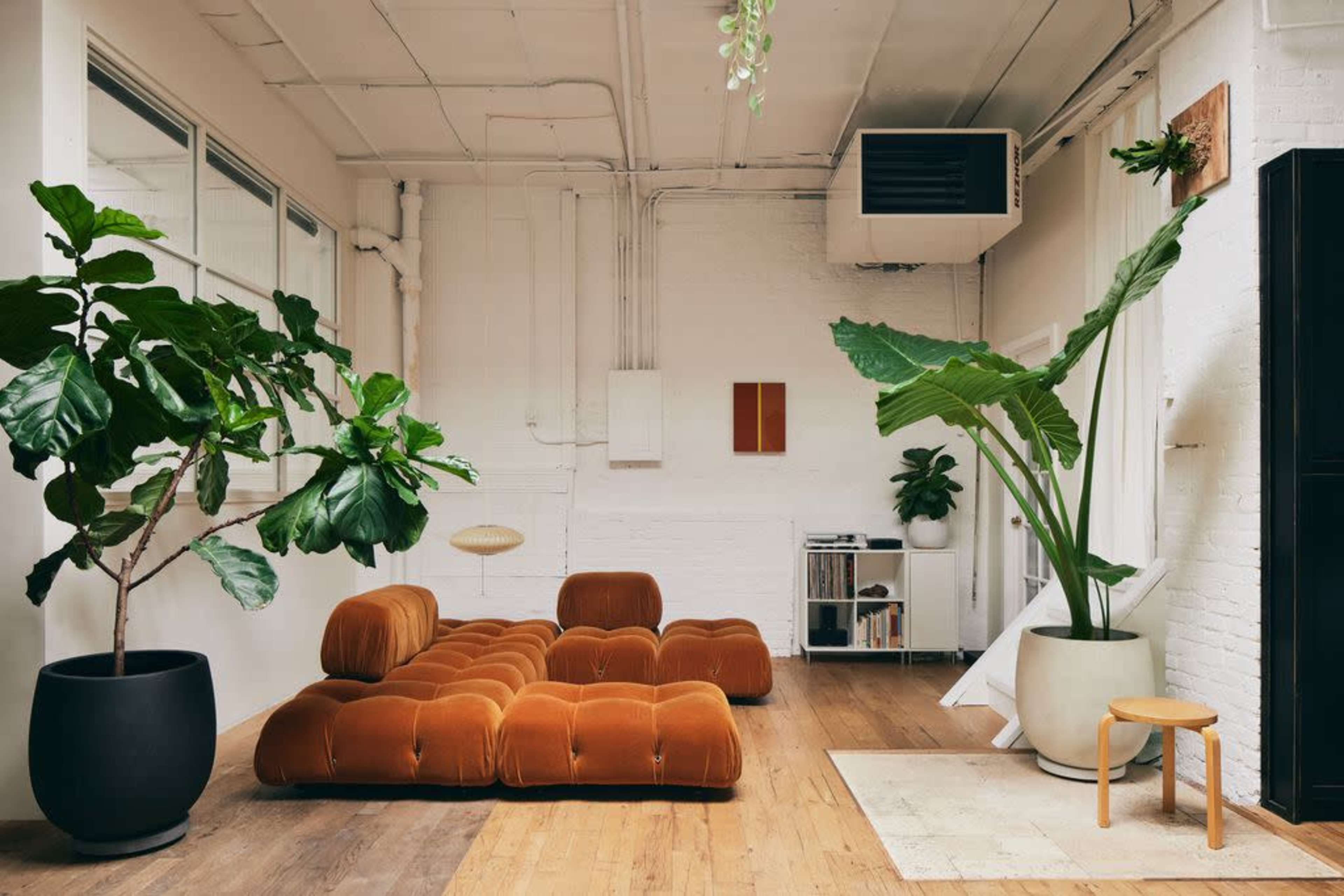 The image shows a spacious living area featuring a large orange couch, two tall indoor plants, a wooden floor, and minimalistic decor.