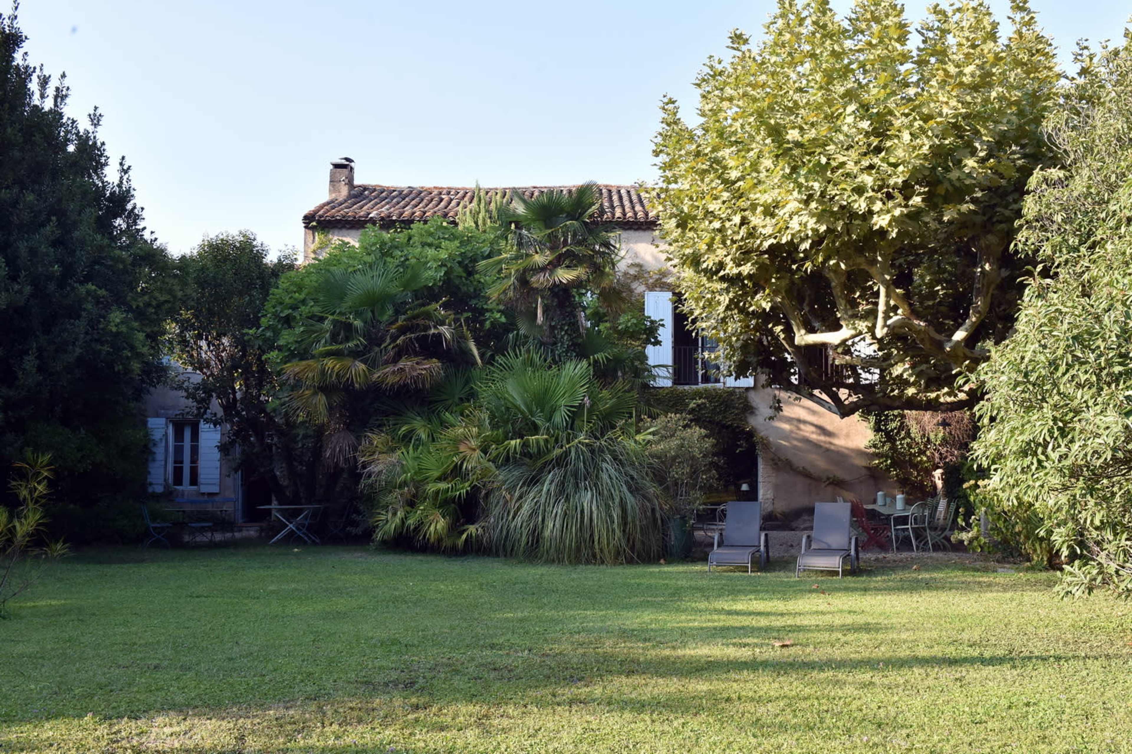 A spacious garden with lush greenery surrounds a house, featuring palm trees and a large tree, while two lounge chairs sit on the lawn.