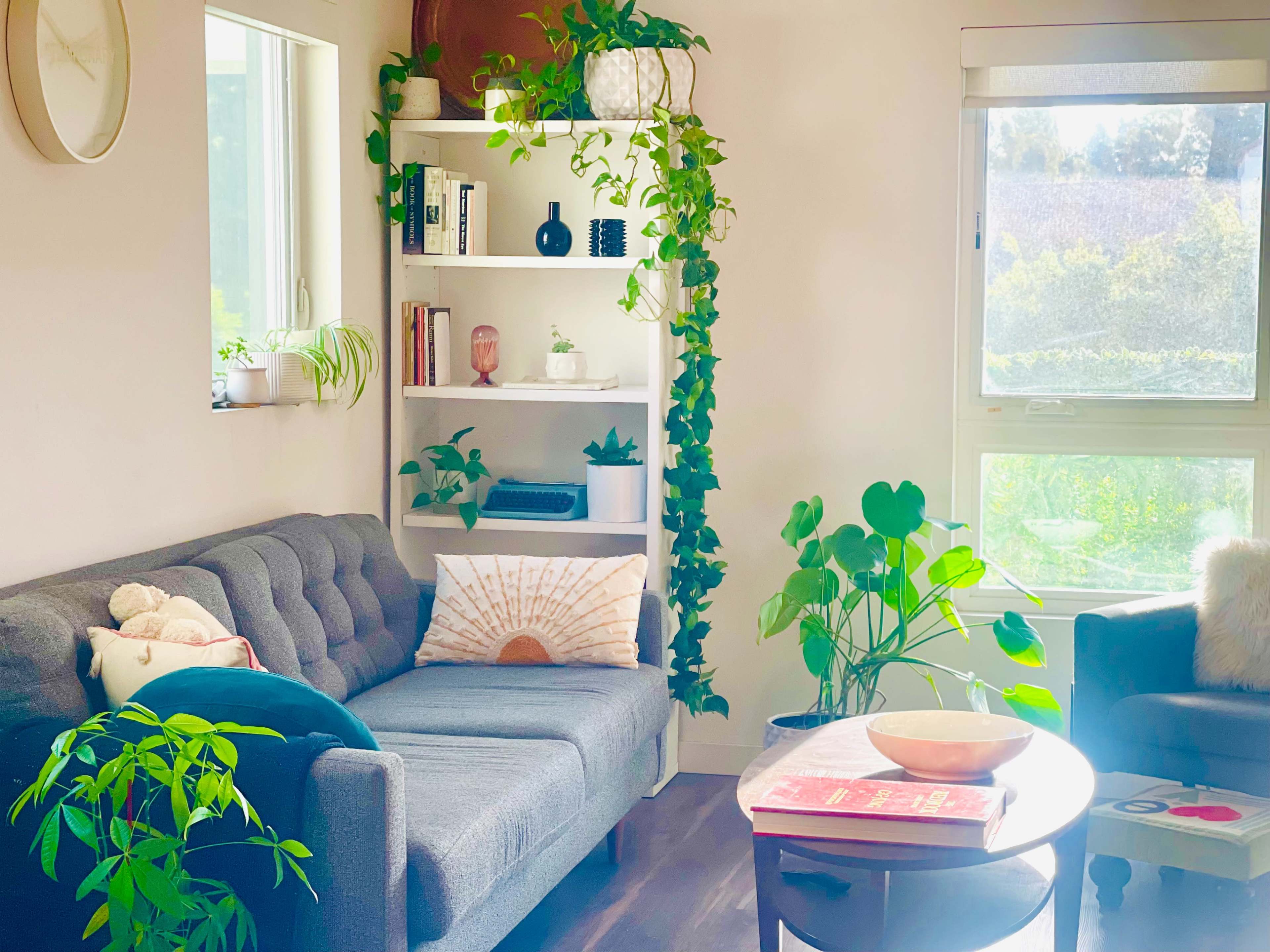 The image shows a bright living room featuring a gray couch, a bookshelf with plants, and a round coffee table, all illuminated by natural light from a large window.