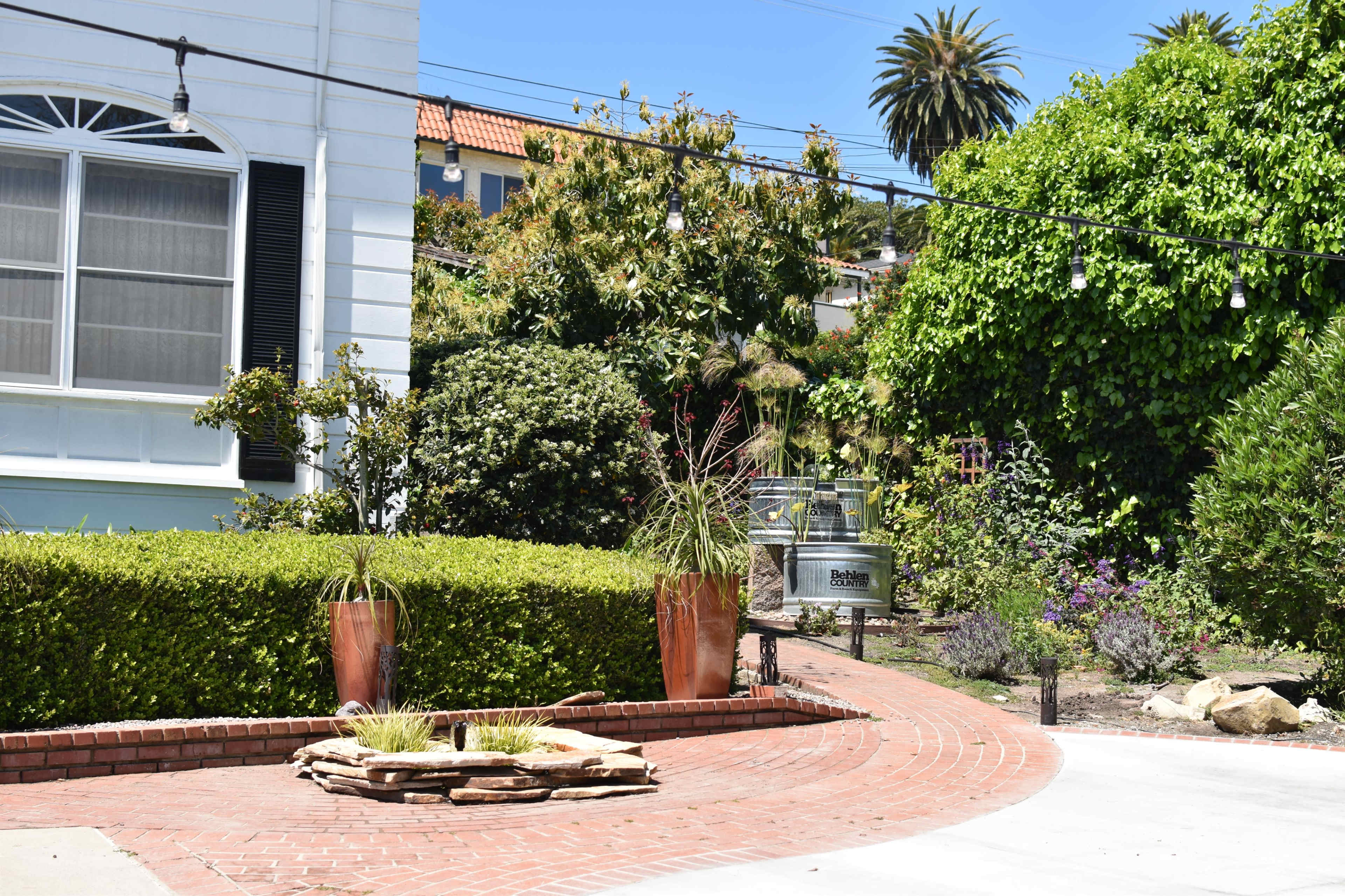 A landscaped yard with a circular brick pathway leading to a stone fountain, surrounded by lush greenery and palm trees.