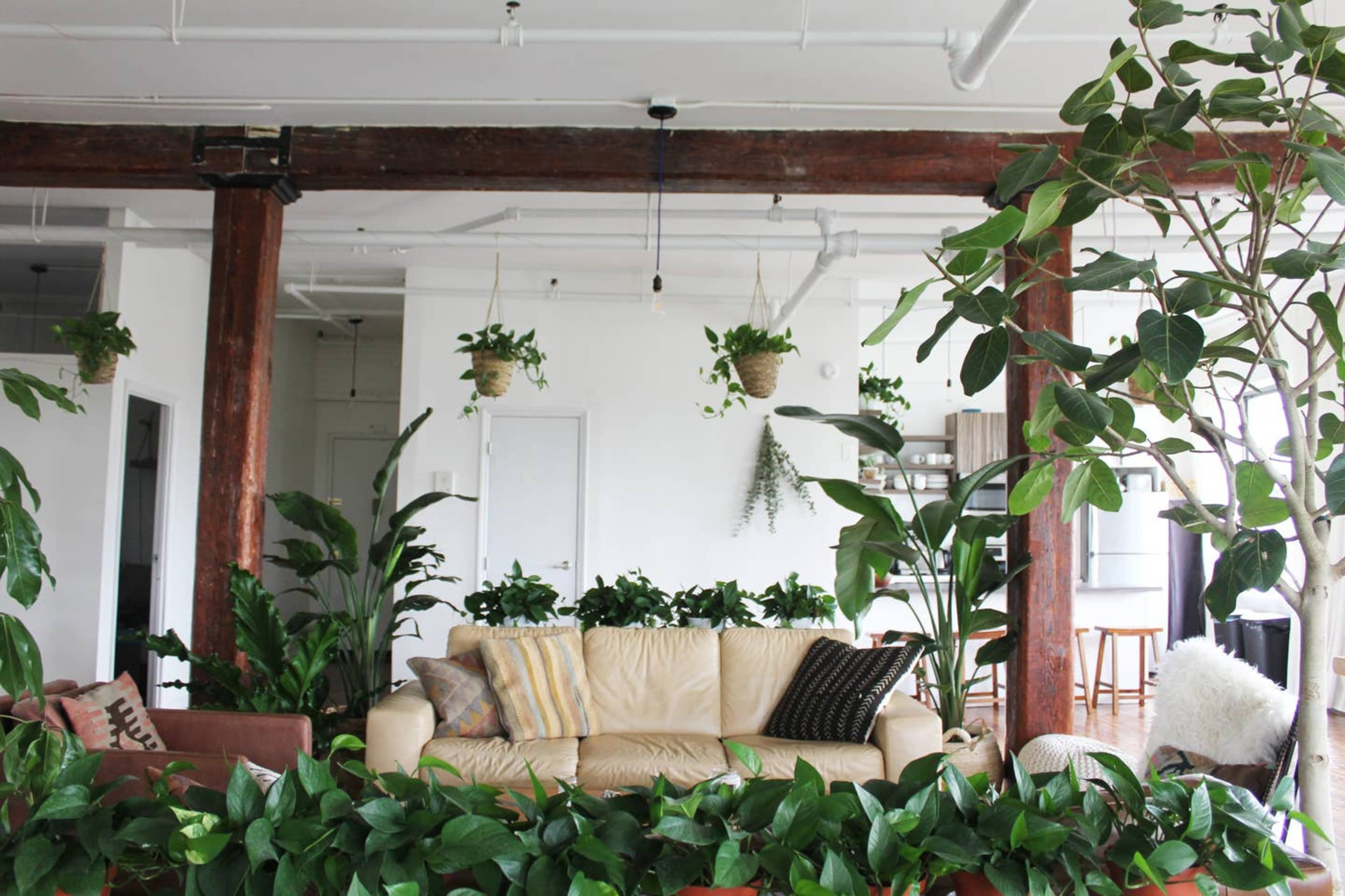 A spacious indoor area features a beige sofa surrounded by numerous green plants and wooden pillars.