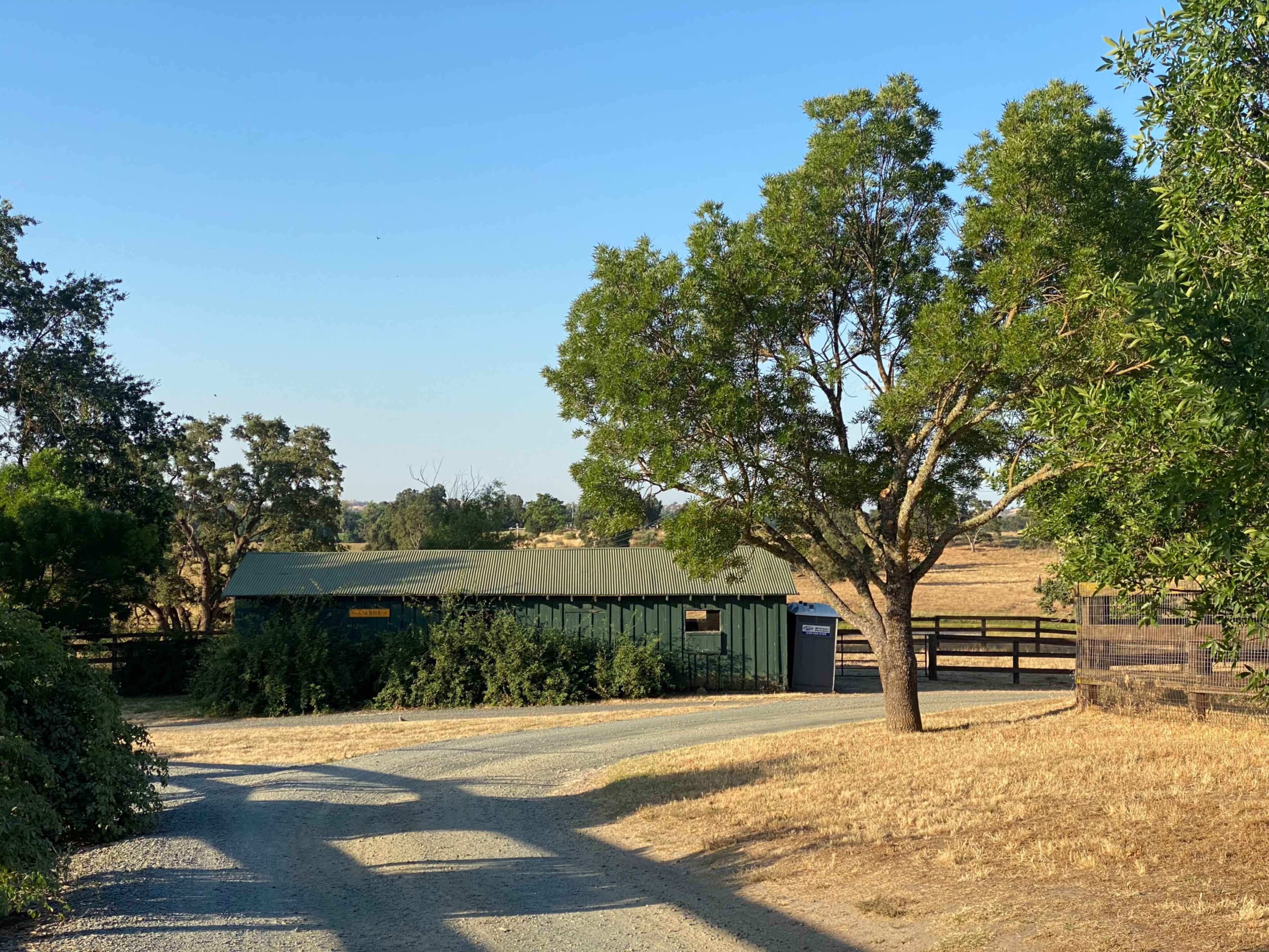 A gravel road leads to a green shed surrounded by trees and open fields under a clear blue sky.