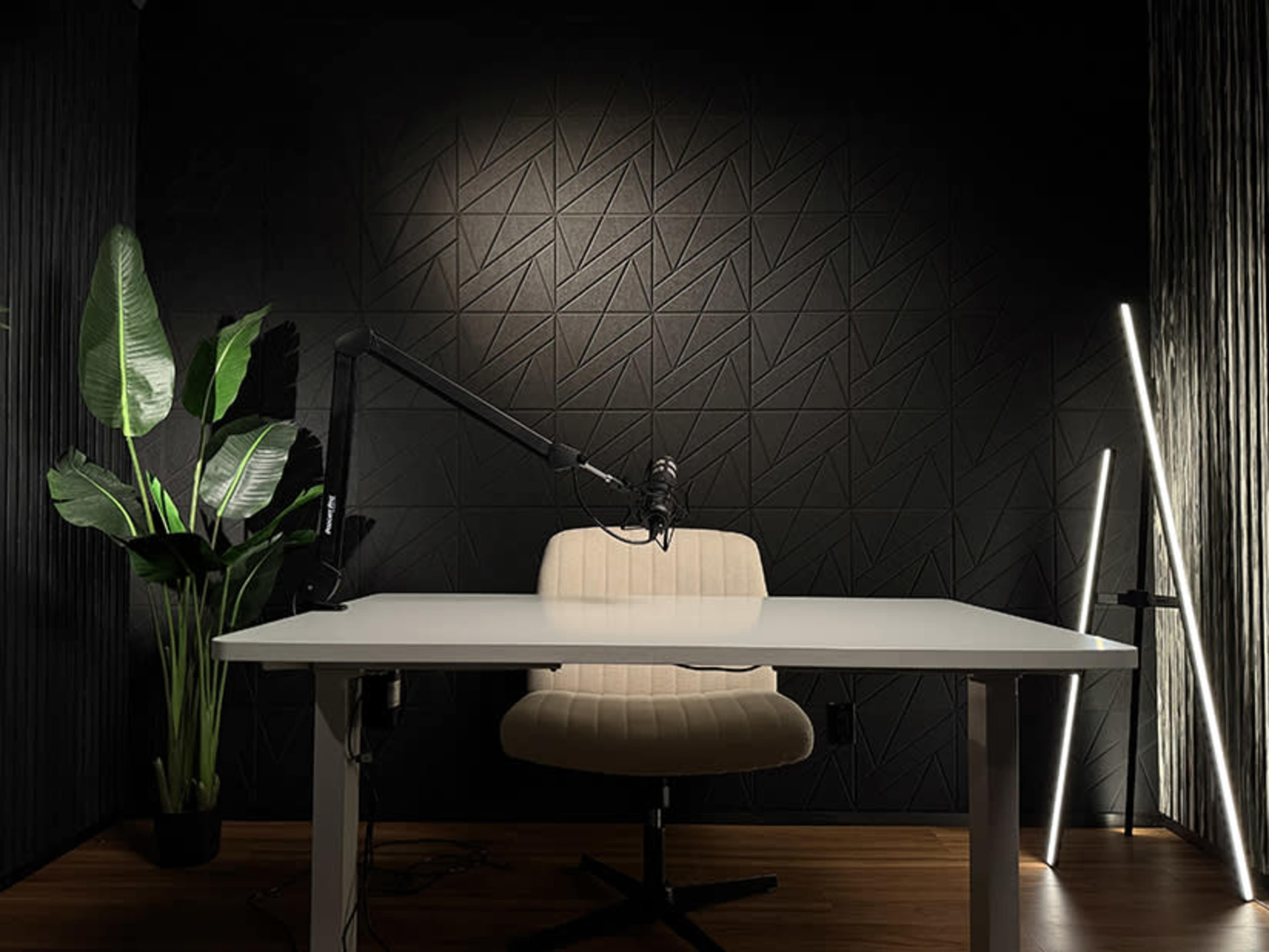 Podcast Studio with Broadcast Quality Image in Forest Hills, Forest Hills, NY