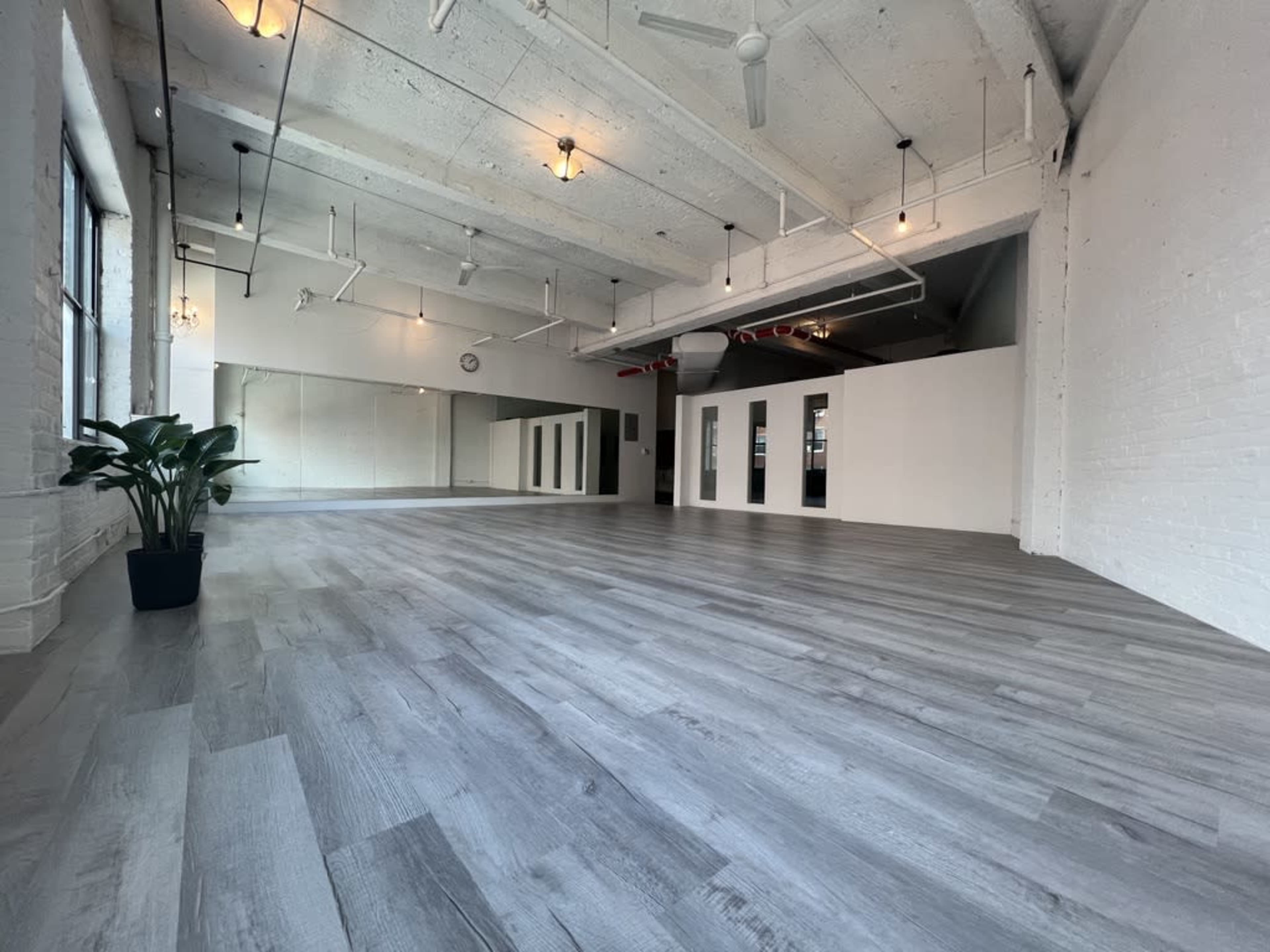 The image shows a spacious, well-lit room with gray wooden flooring and large windows, featuring a plant in a black pot and several mirrors on the walls.