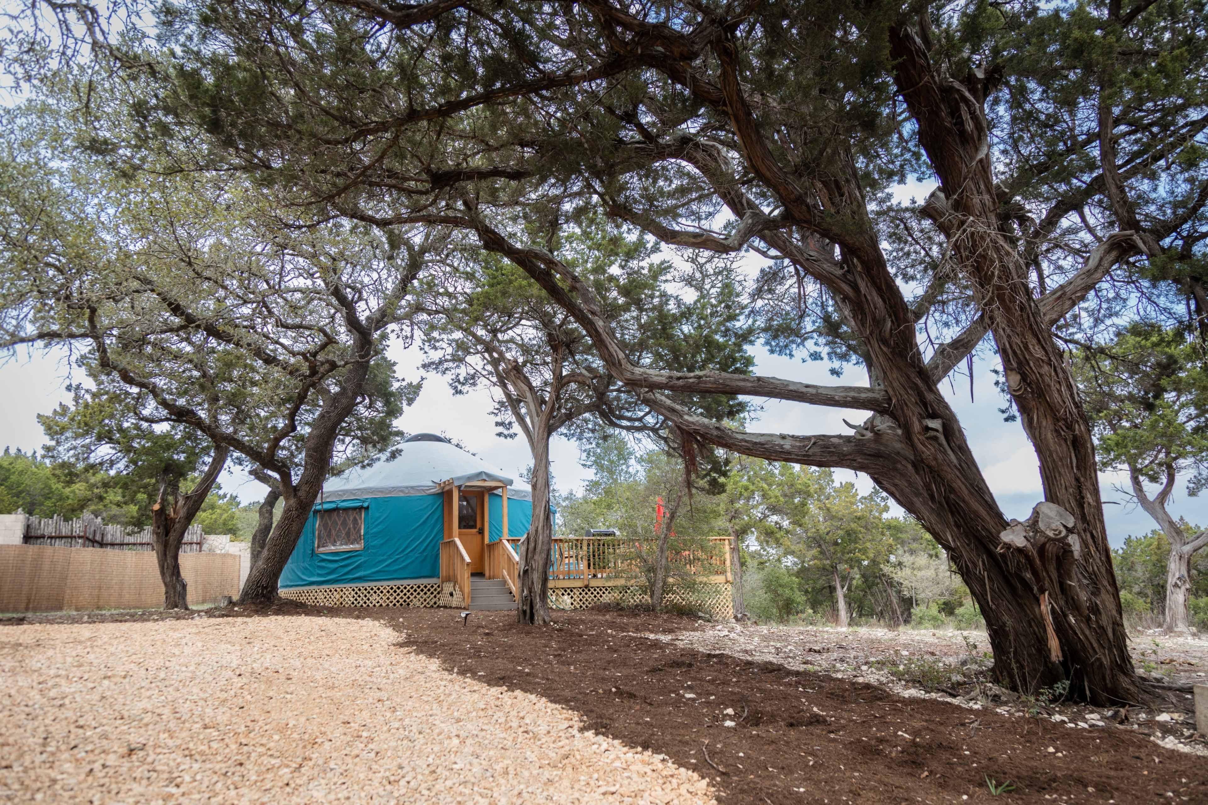 A yurt with a blue covering sits under large trees in a gravelly outdoor area.