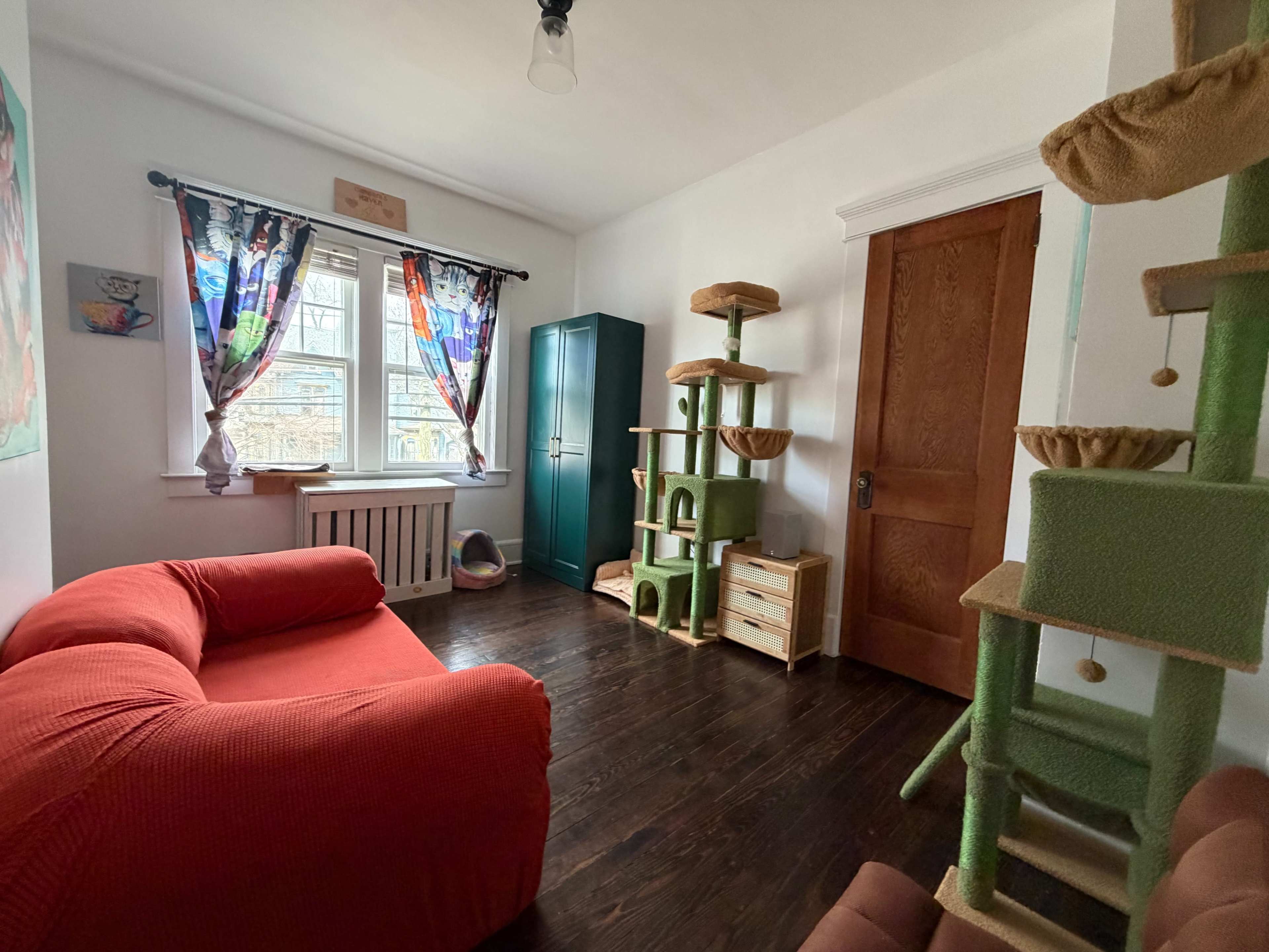 The room features a red sofa, a green wardrobe, a wooden door, and a tall cat tree against one wall, with colorful curtains hanging over the window.