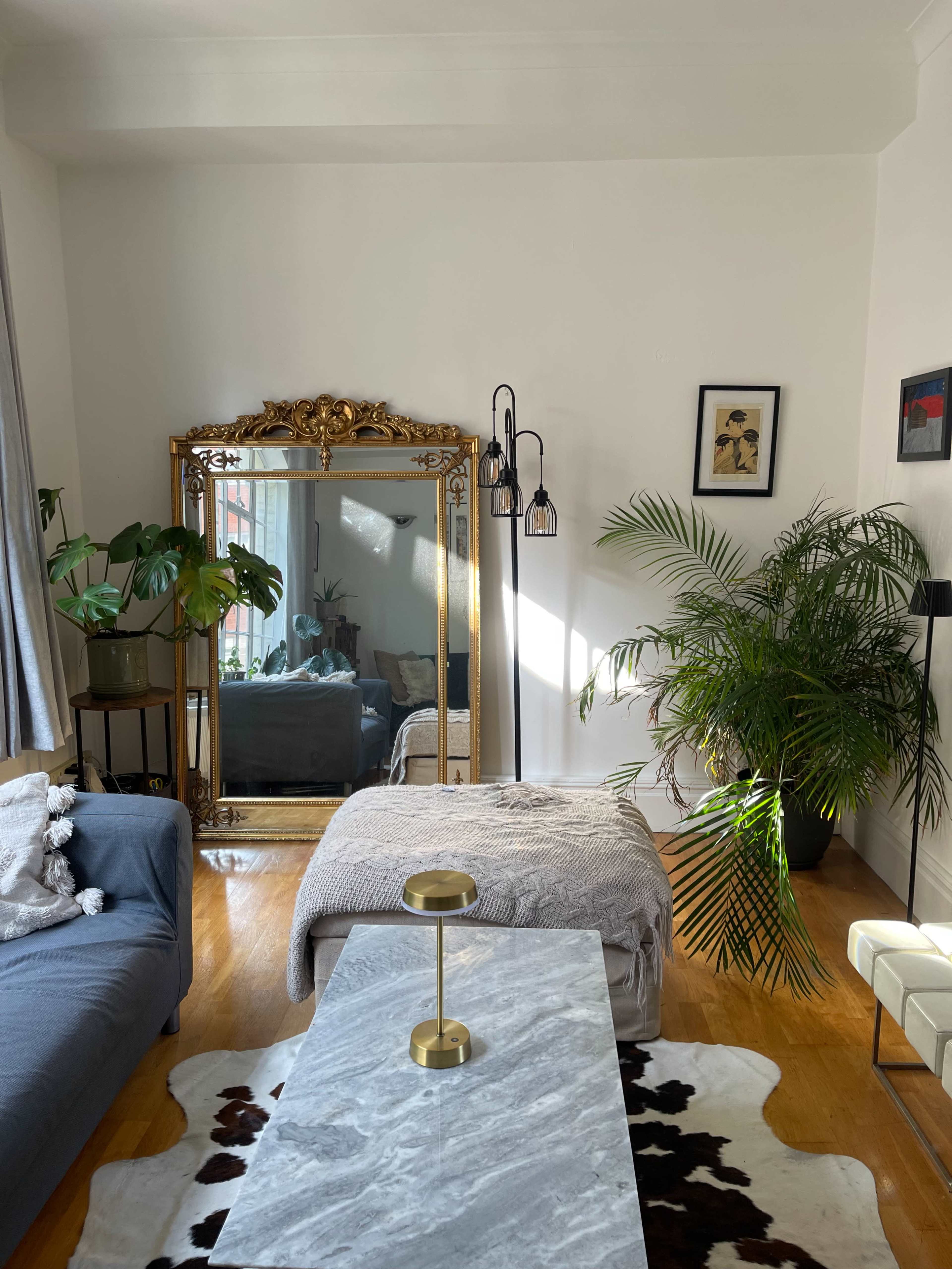 The living room features a mirror with an ornate frame, a coffee table on a patterned rug, a sofa, and large plants in the corners.