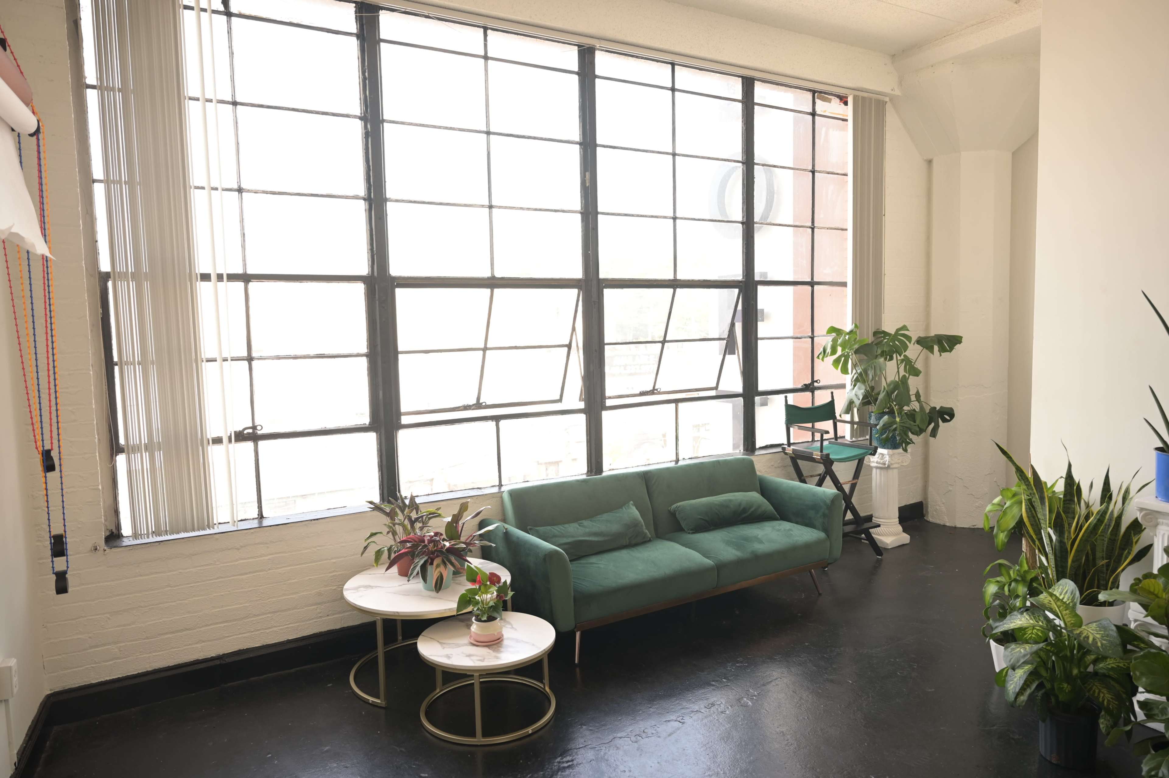A green sofa is positioned in a room with large windows, surrounded by potted plants and small tables.