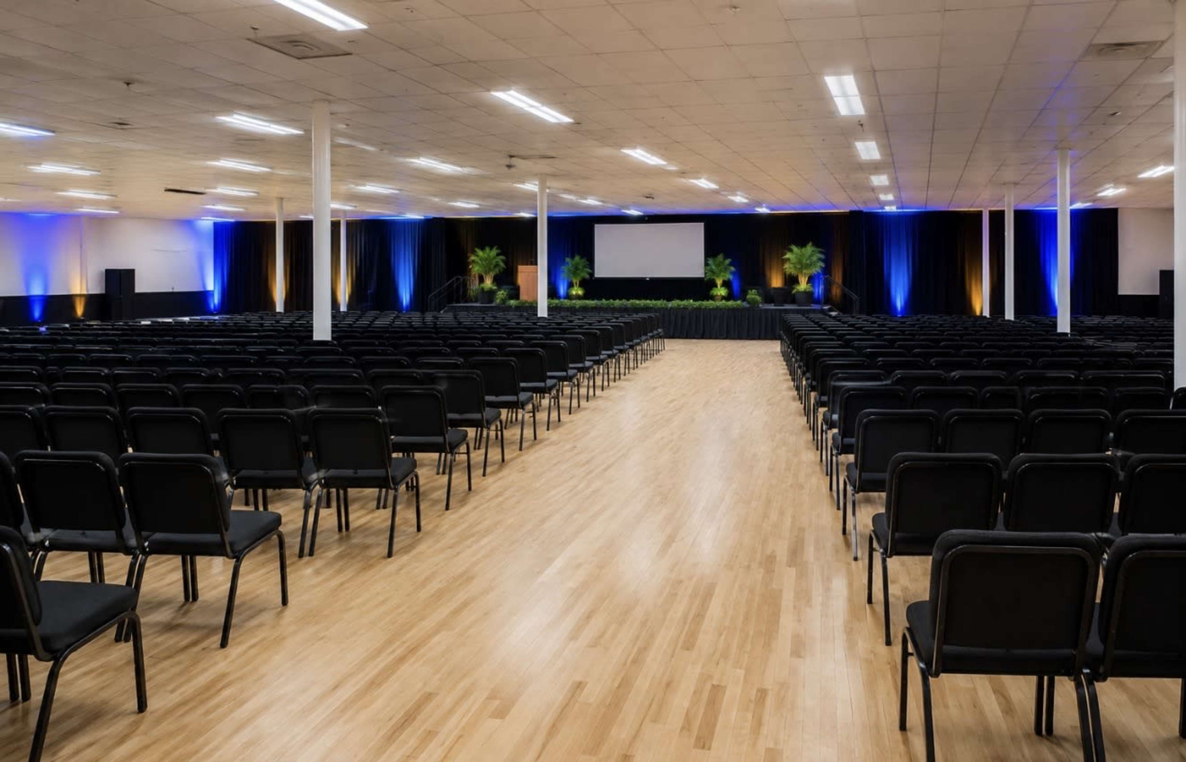 The image shows a large auditorium with rows of black chairs arranged facing a central stage, flanked by plants and illuminated with blue and yellow lighting.