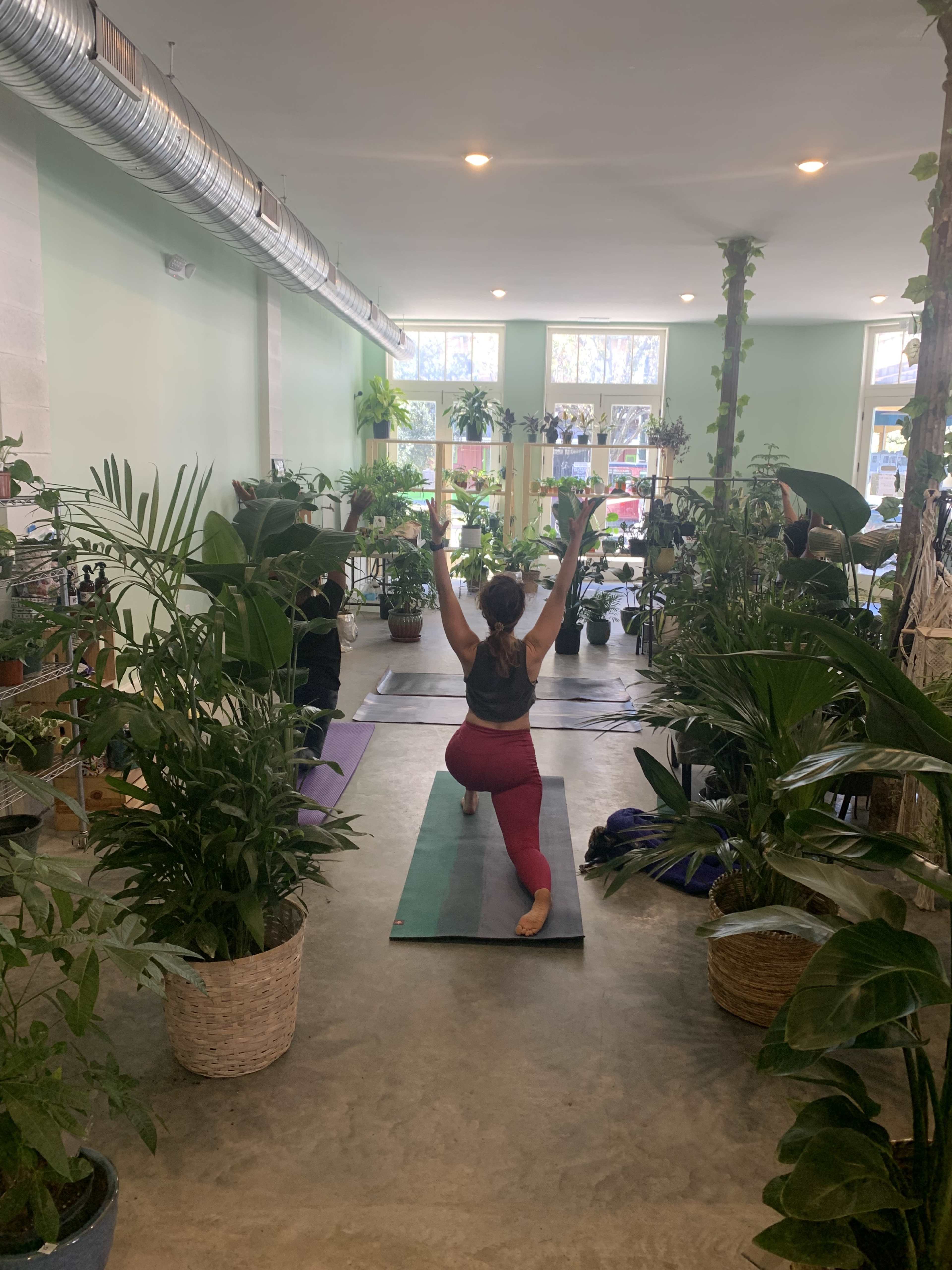 A person performs a yoga pose in a spacious room filled with various potted plants and yoga mats.