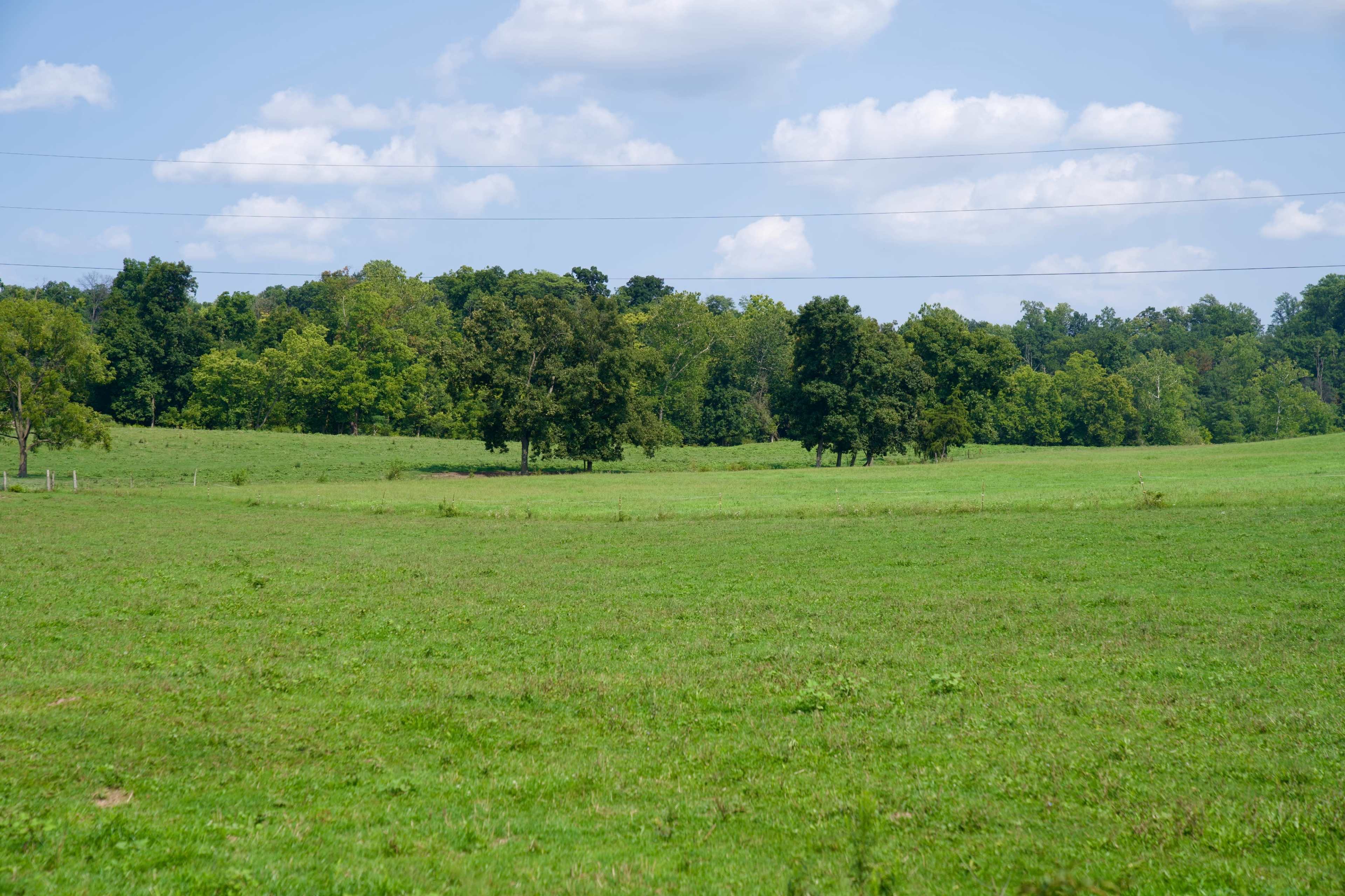 100 Acre Farm: Cows, Rolling Fields, Woods, and More Image in Londonderry Township, Middletown, PA