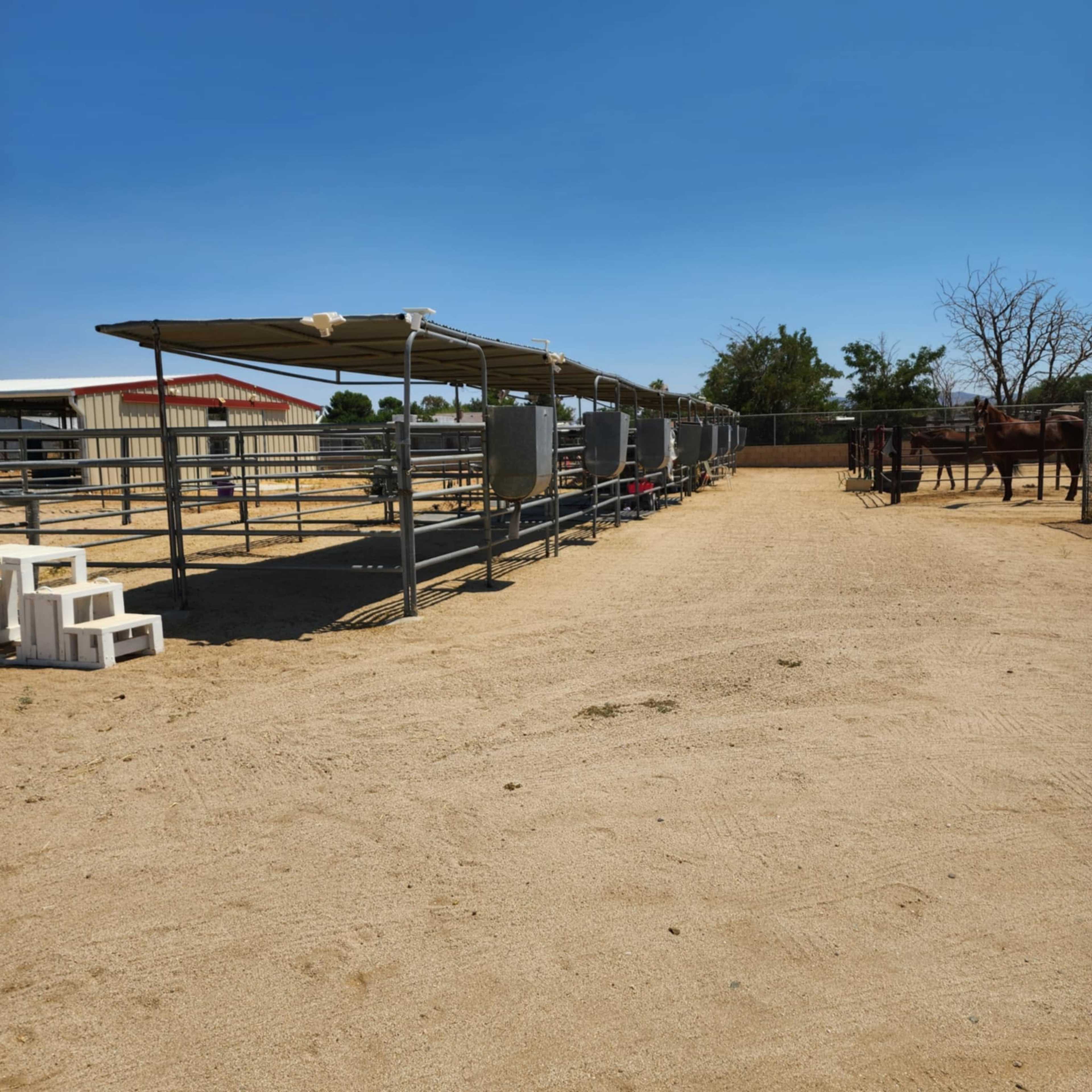 The image shows a horse stable area with covered stalls lined up on one side and several horses in the background under a clear blue sky.