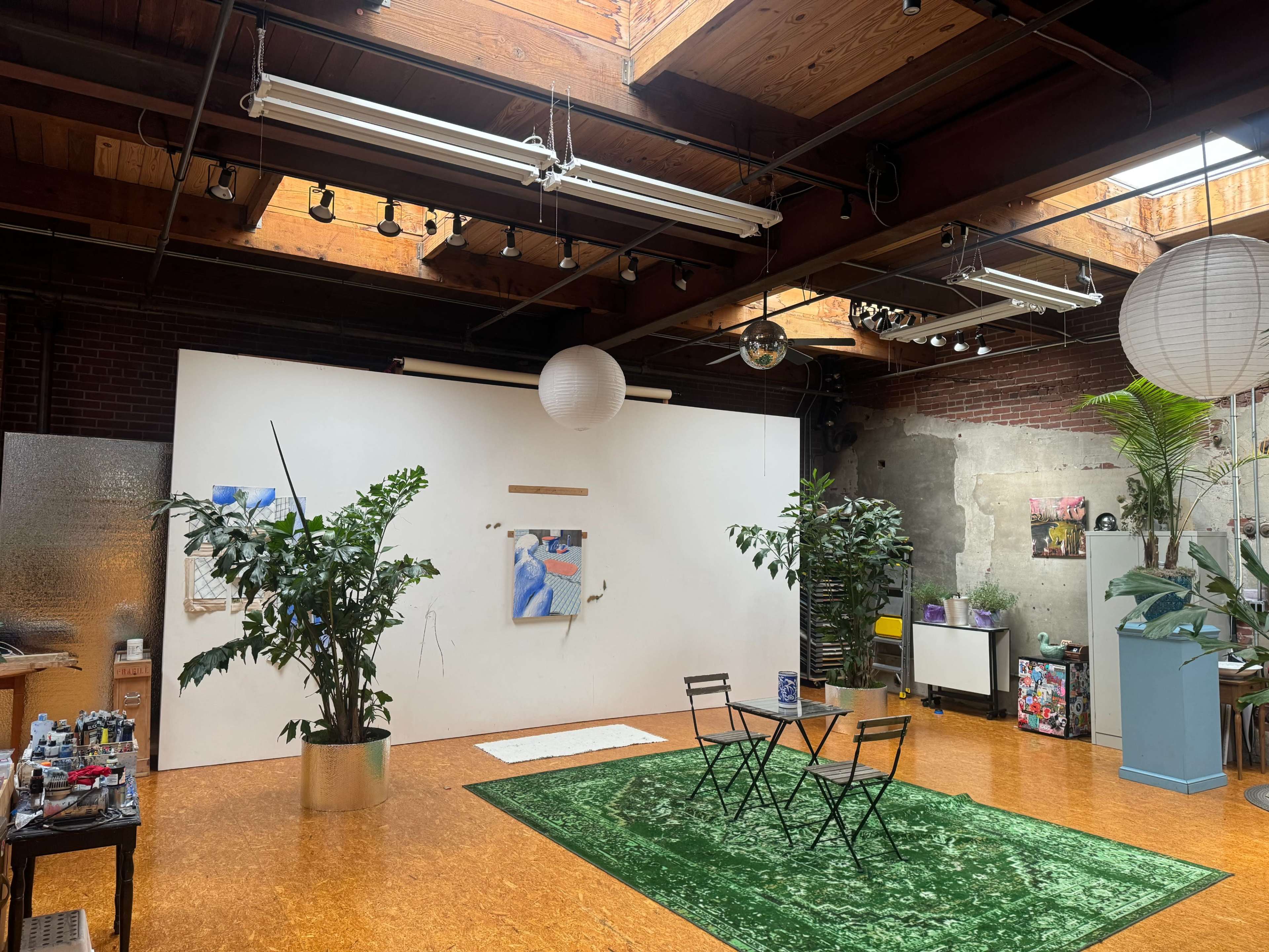 A spacious studio with a white wall, green carpet, two indoor plants, a small black table with chairs, and overhead skylights.