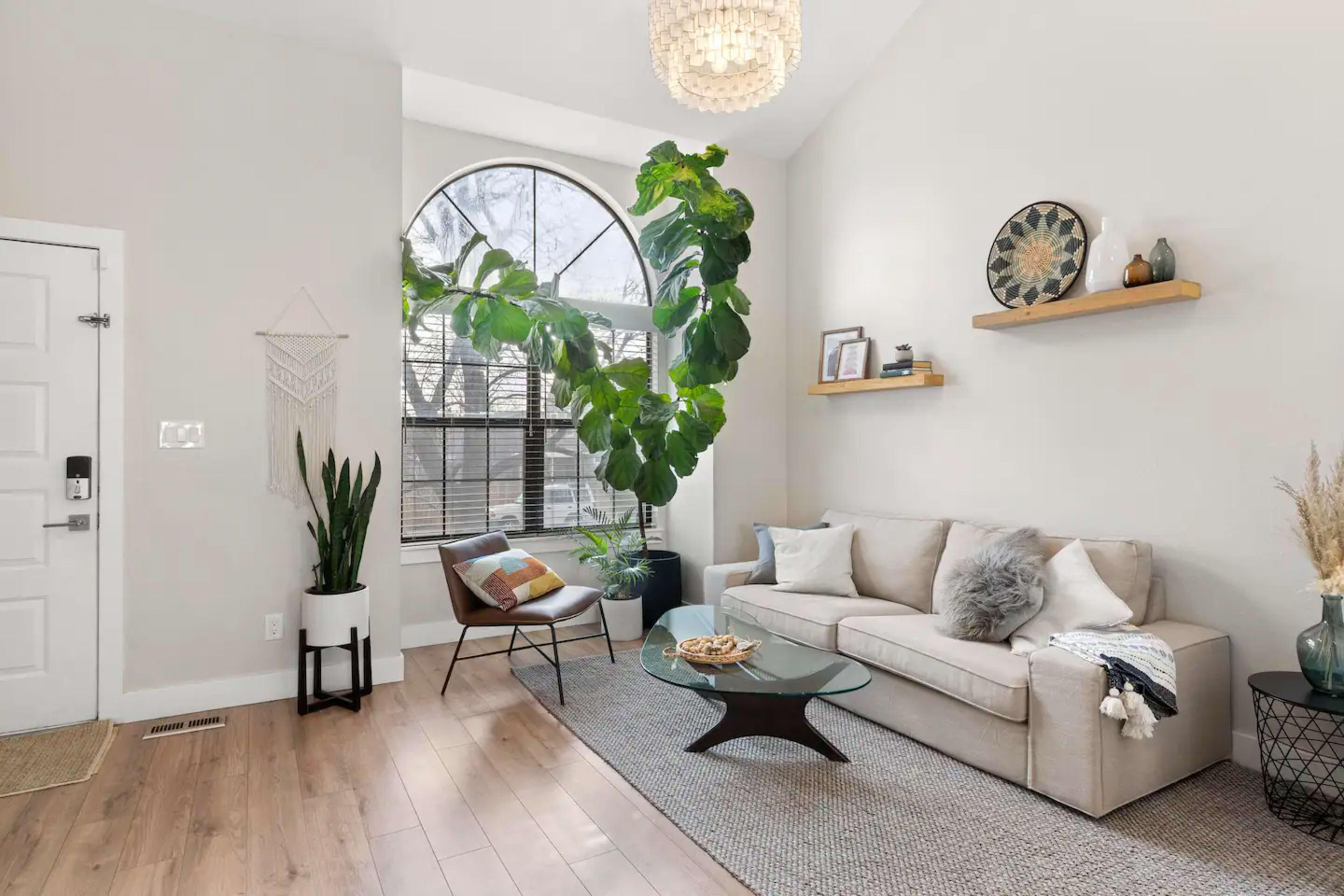 A light-filled living room features a beige sofa, a glass coffee table, and large indoor plants near a window with an arched frame.