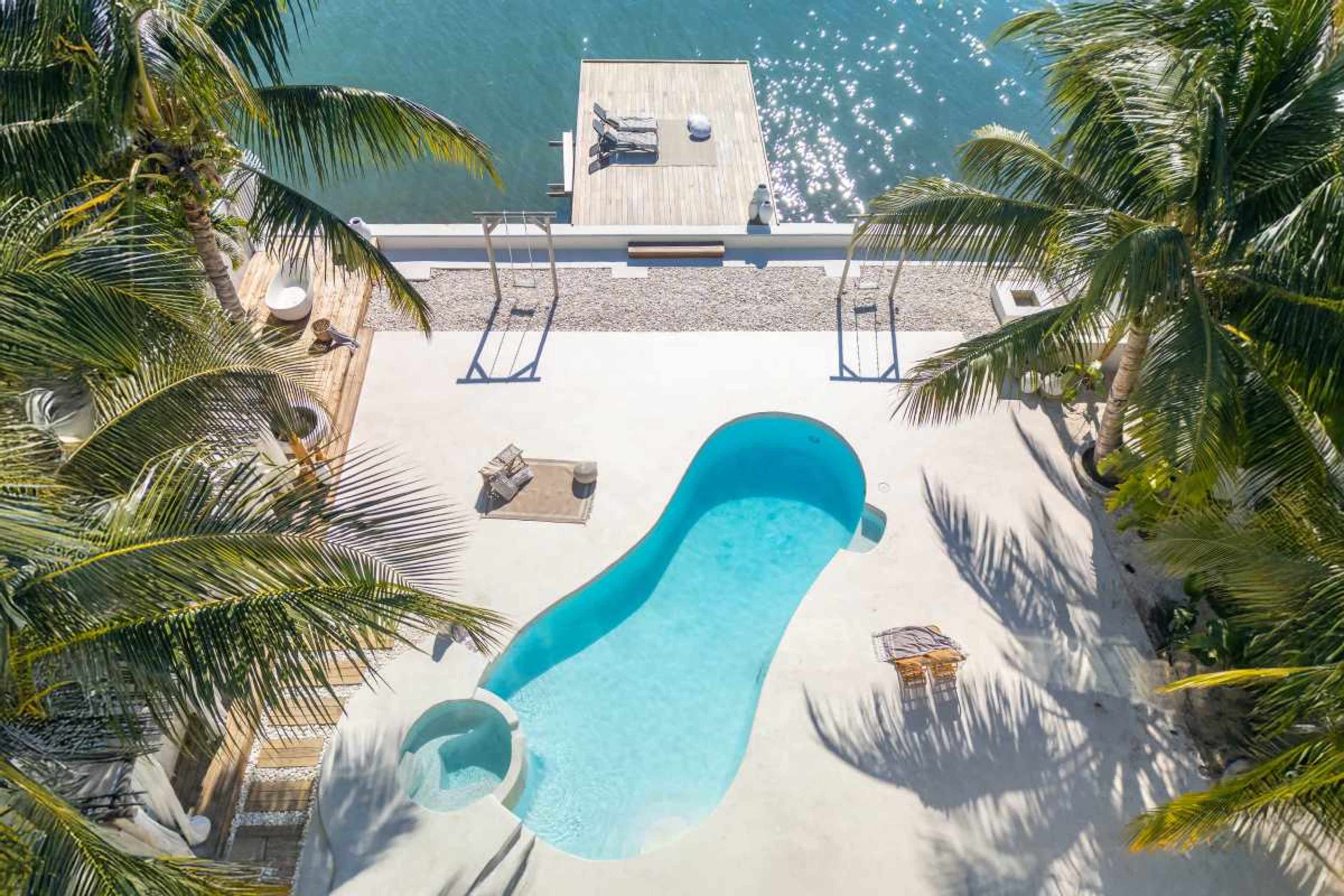 The image shows a swimming pool surrounded by palm trees, with a wooden dock extending into a body of water.