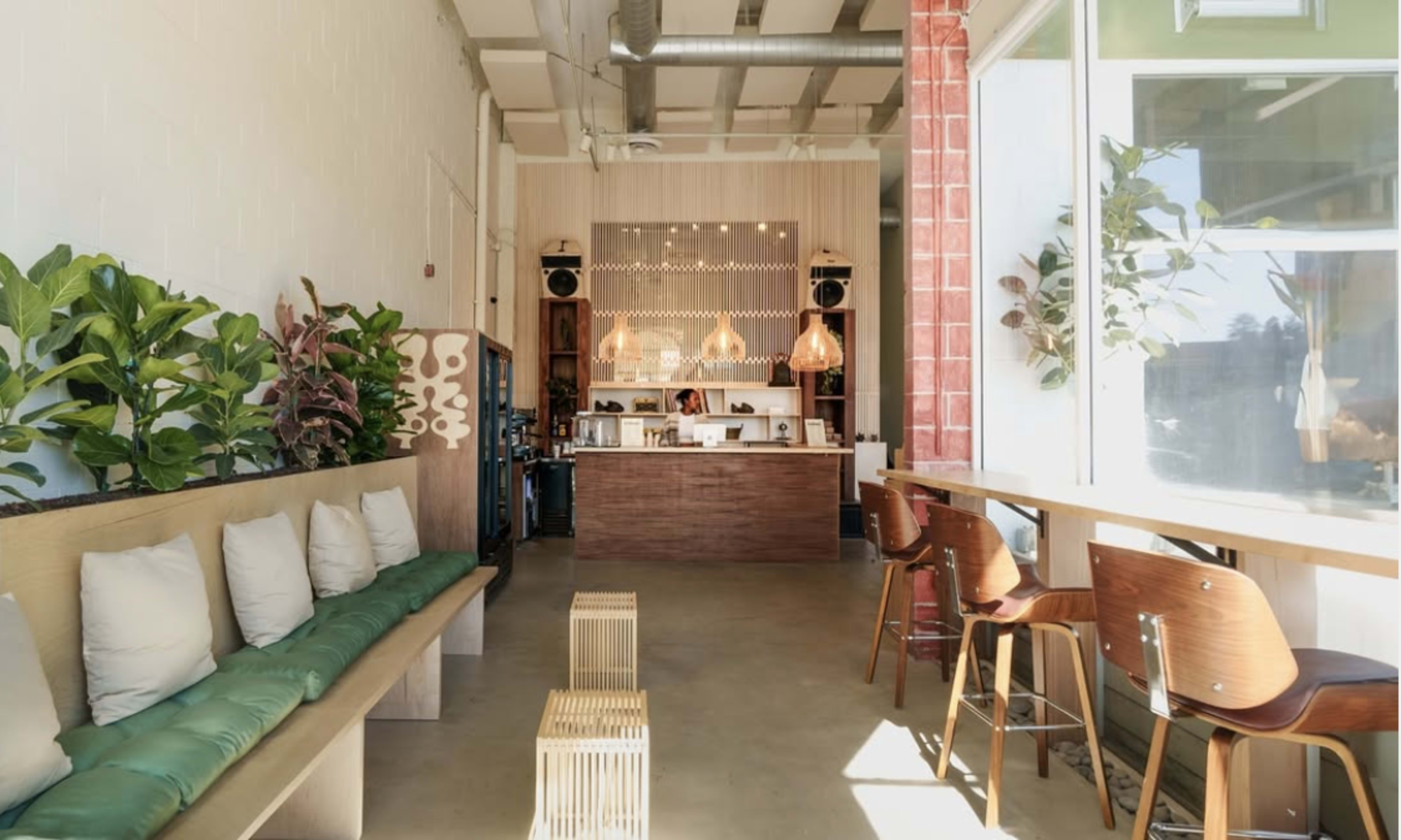 The image shows a modern café interior featuring a light wooden counter, seating areas with cushions, and greenery along the walls.
