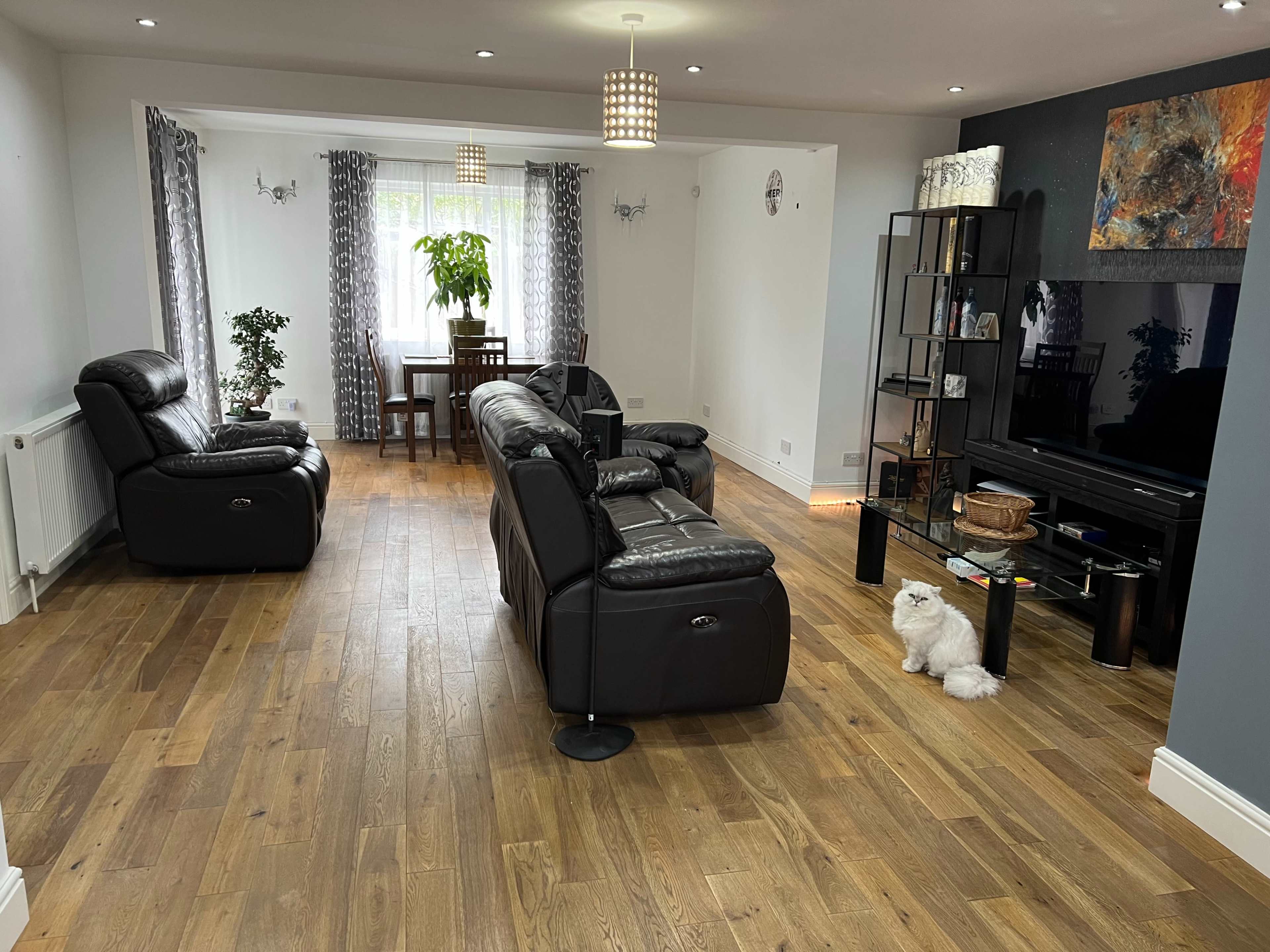 A living room features two leather sofas, a dining table, a large window with sheer curtains, and a small dog on the wooden floor.