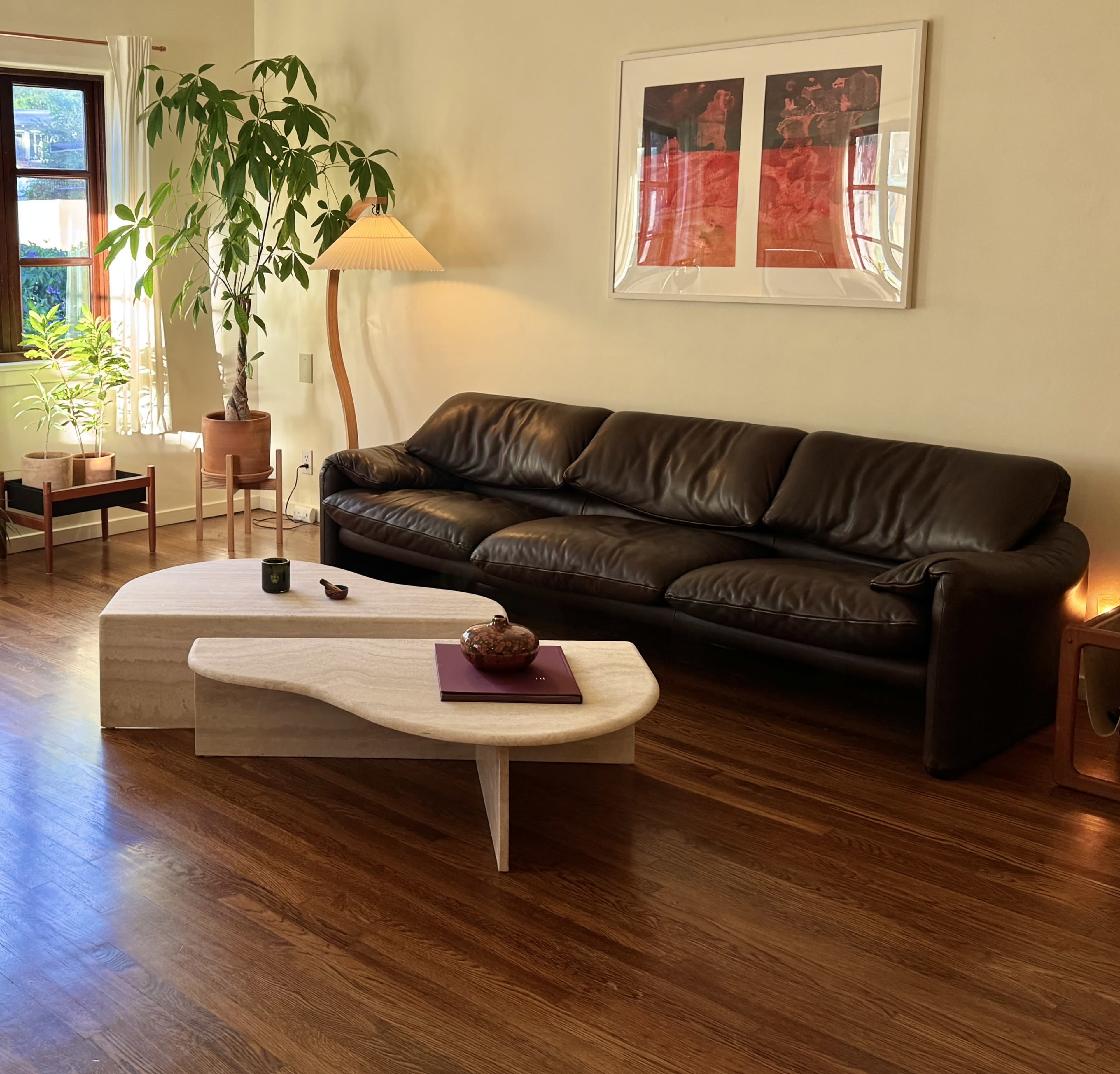 The image shows a living room with a black leather sofa, a wooden coffee table, a large potted plant, and a lamp, all arranged on wooden flooring.