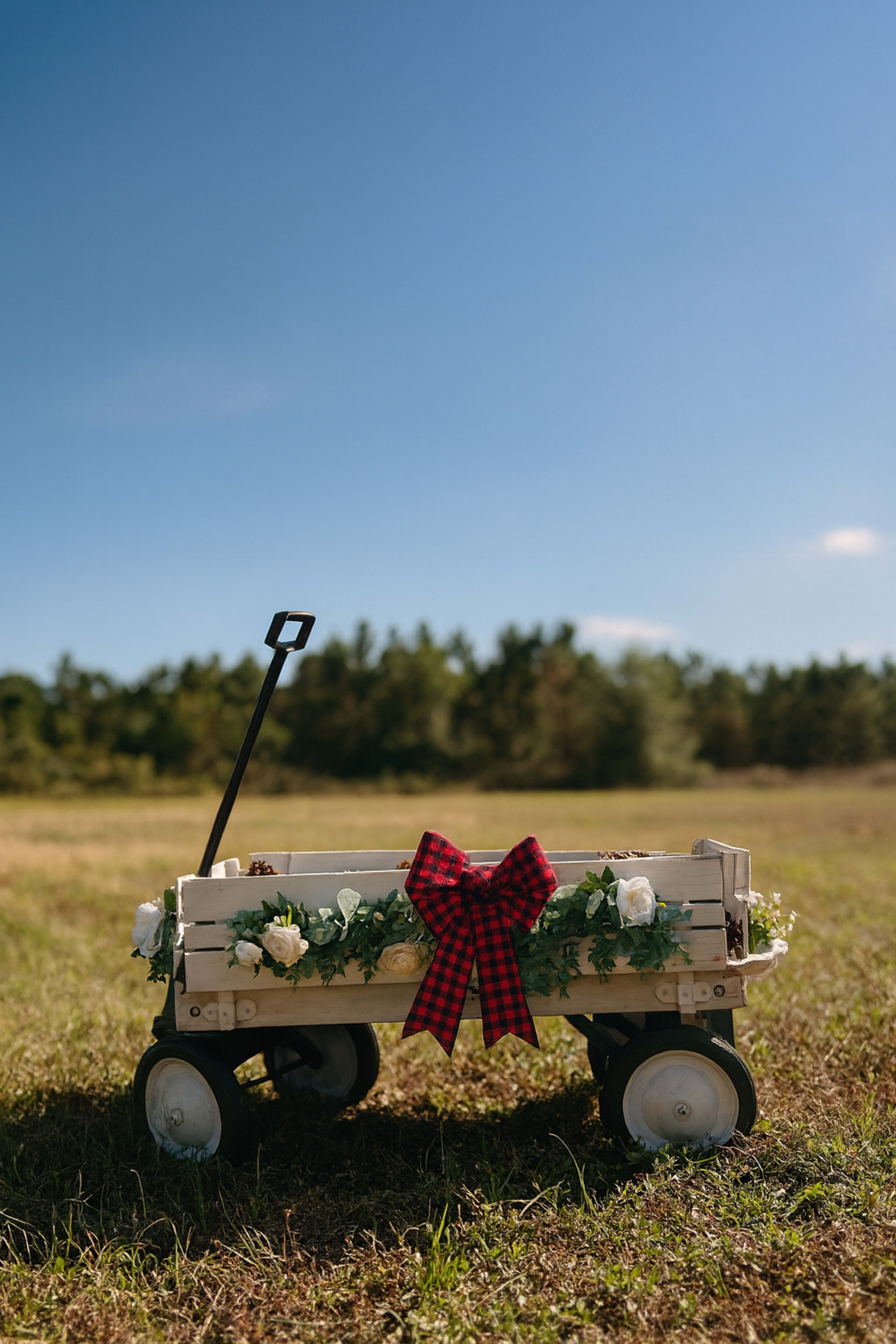 Rural Property with Pond & Forest View on Acreage Image in , Land o’ Lakes, FL