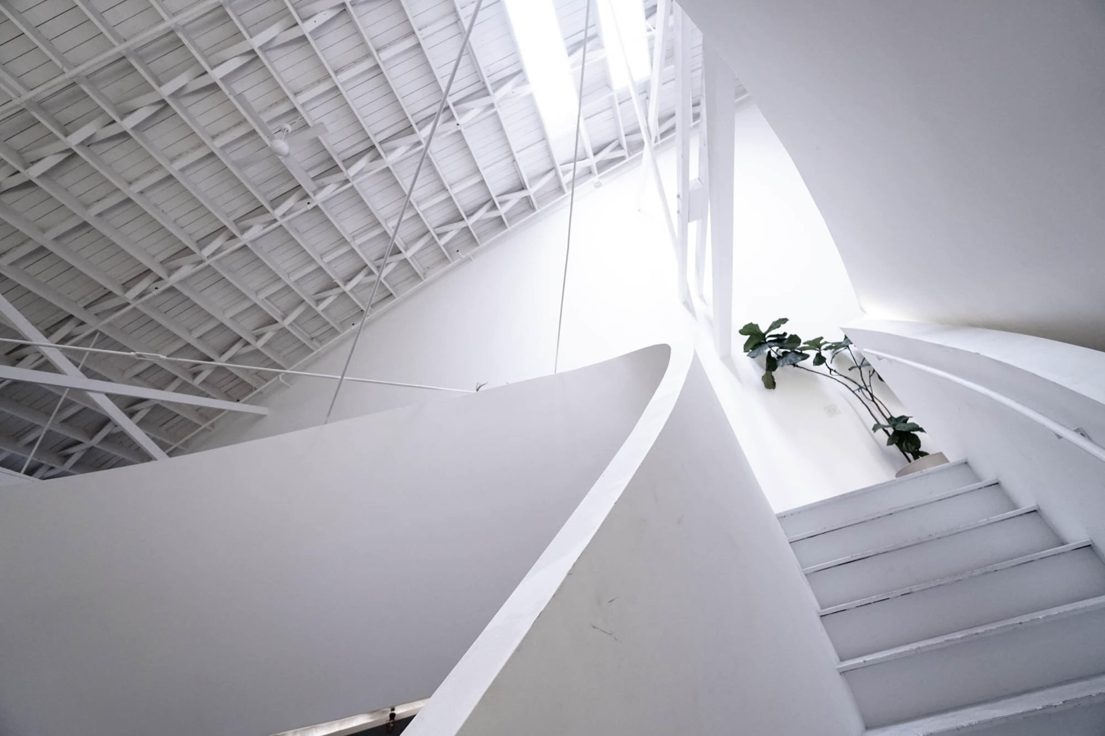 A white-walled staircase curves upward beneath a bright, open ceiling with a single potted plant on the landing.
