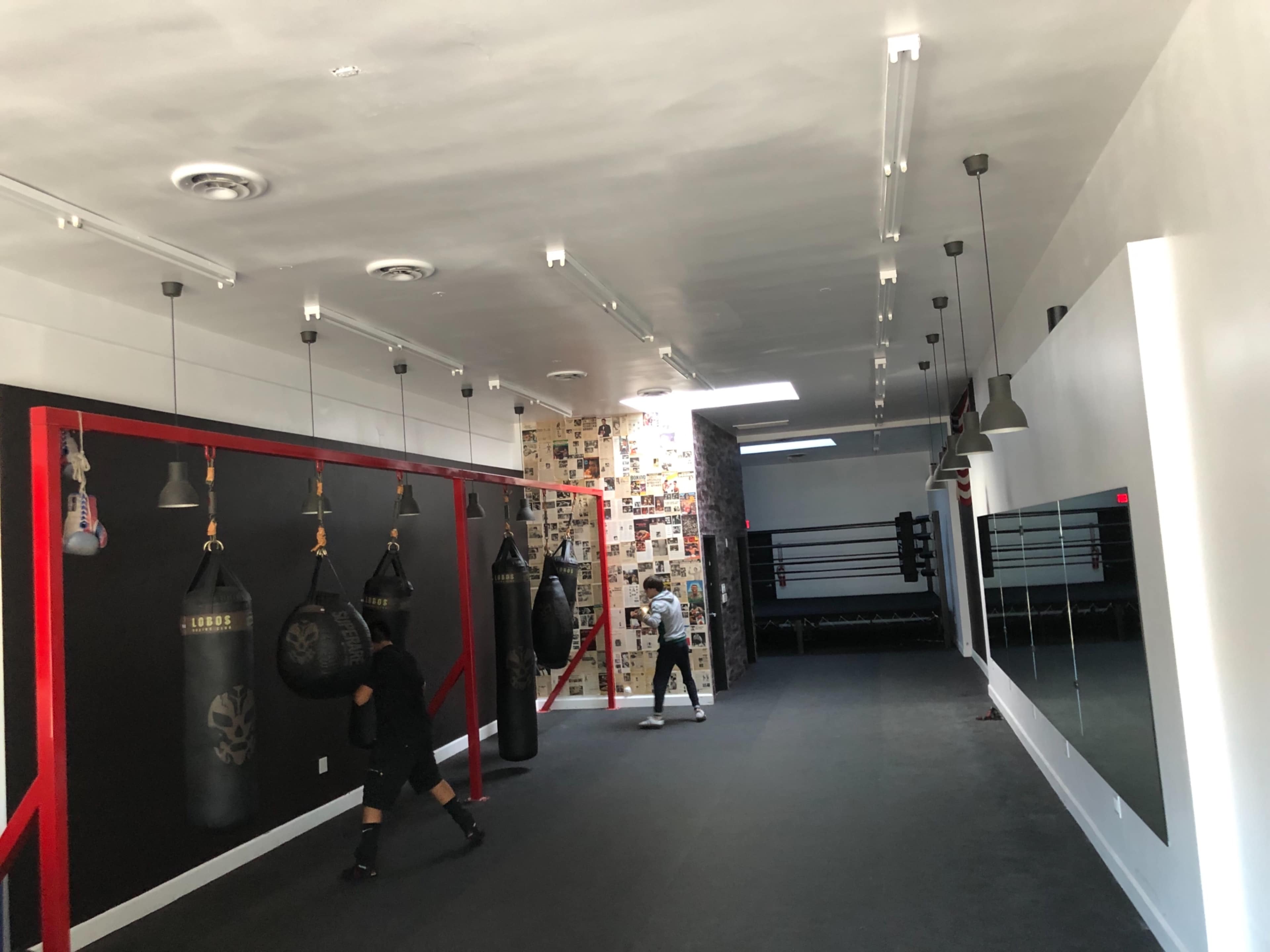 Two individuals are training in a boxing gym that features hanging punching bags, a mirrored wall, and a boxing ring in the background.