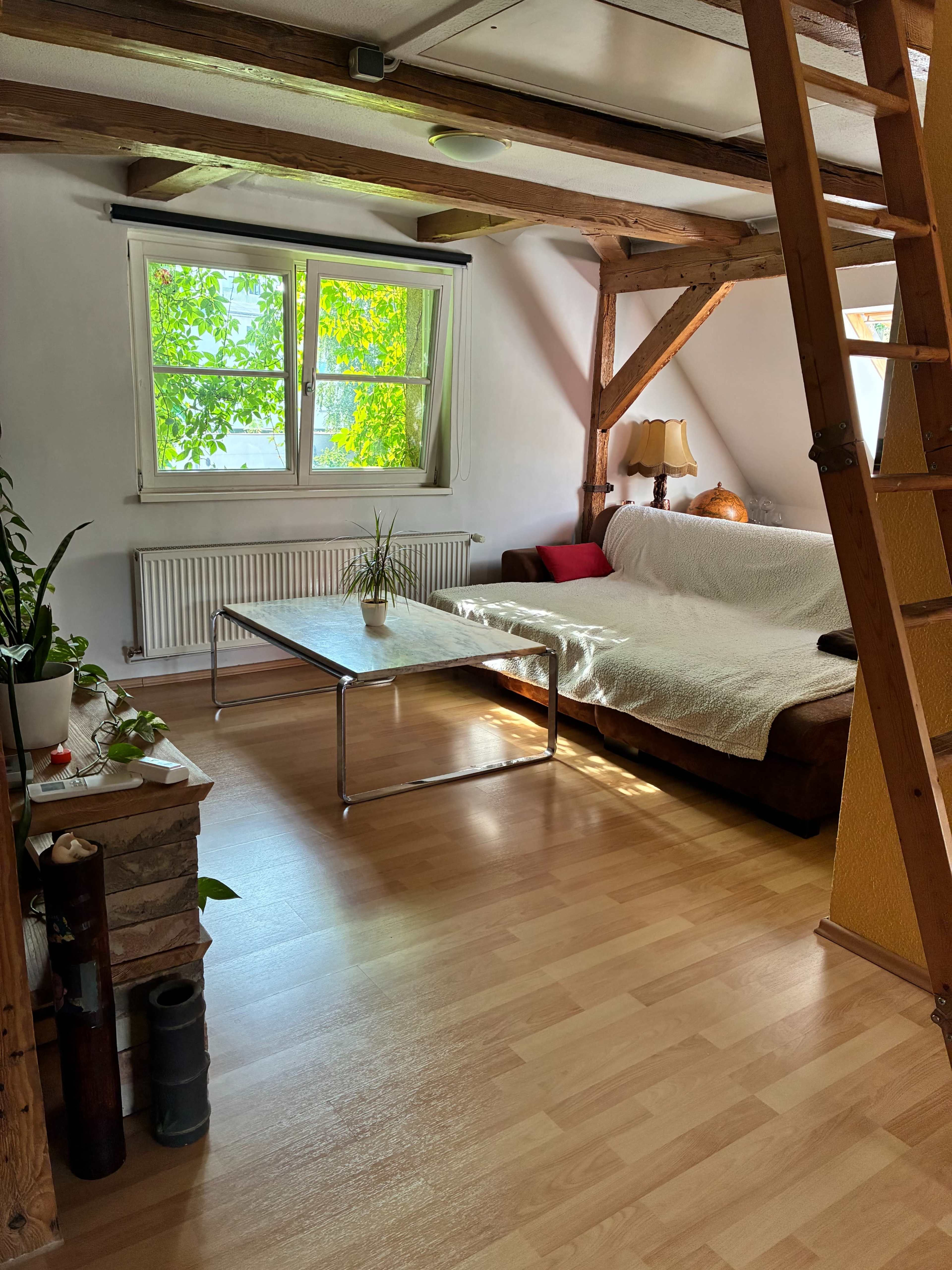 The image shows a cozy living room with a sofa, a coffee table, and large windows letting in natural light, surrounded by wooden beams and plants.