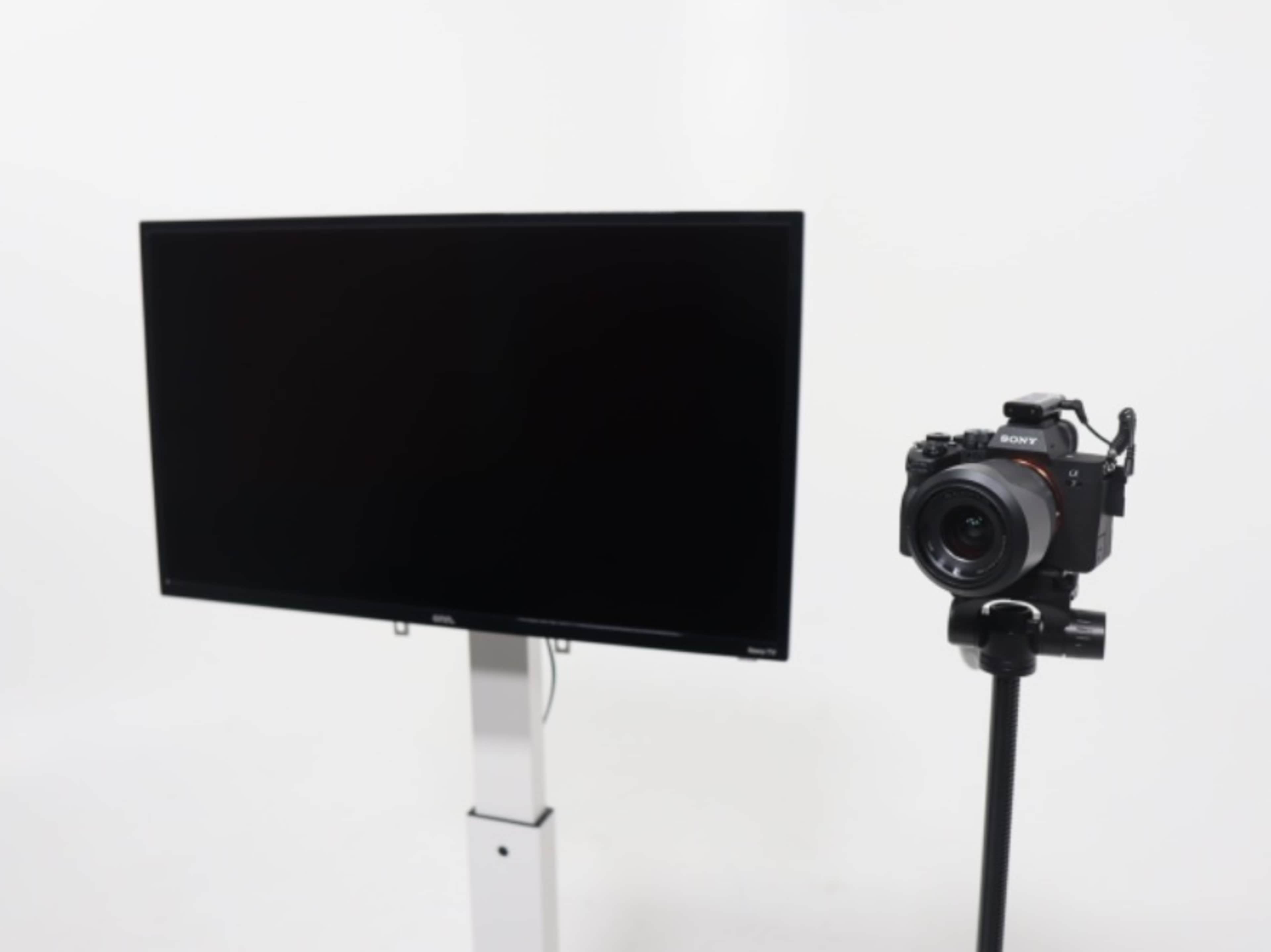 External Monitor (On Wheels)