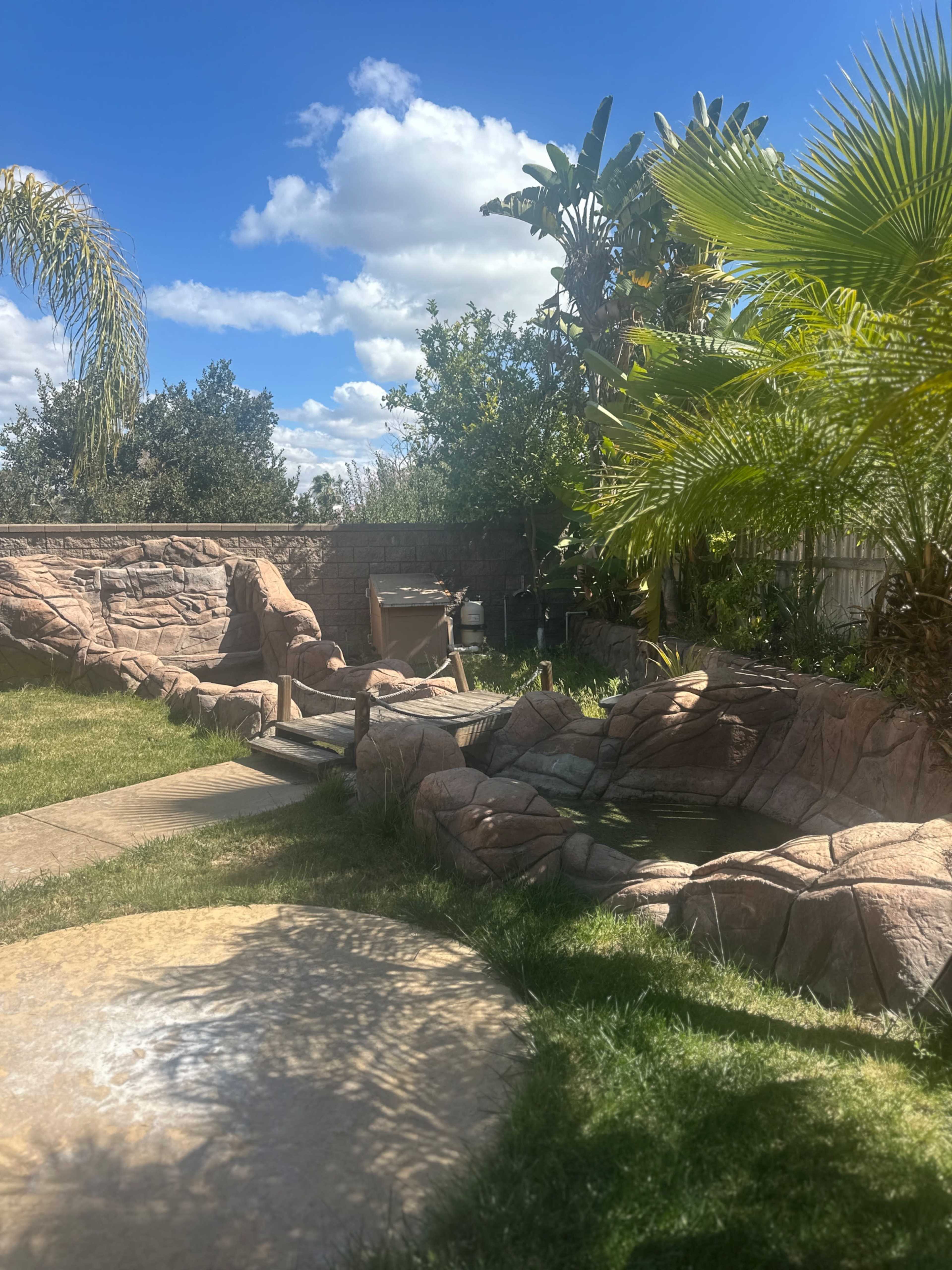Tropical backyard, waterfall and pond, 10ft bar grill area Image in Otay Ranch, Chula Vista, CA