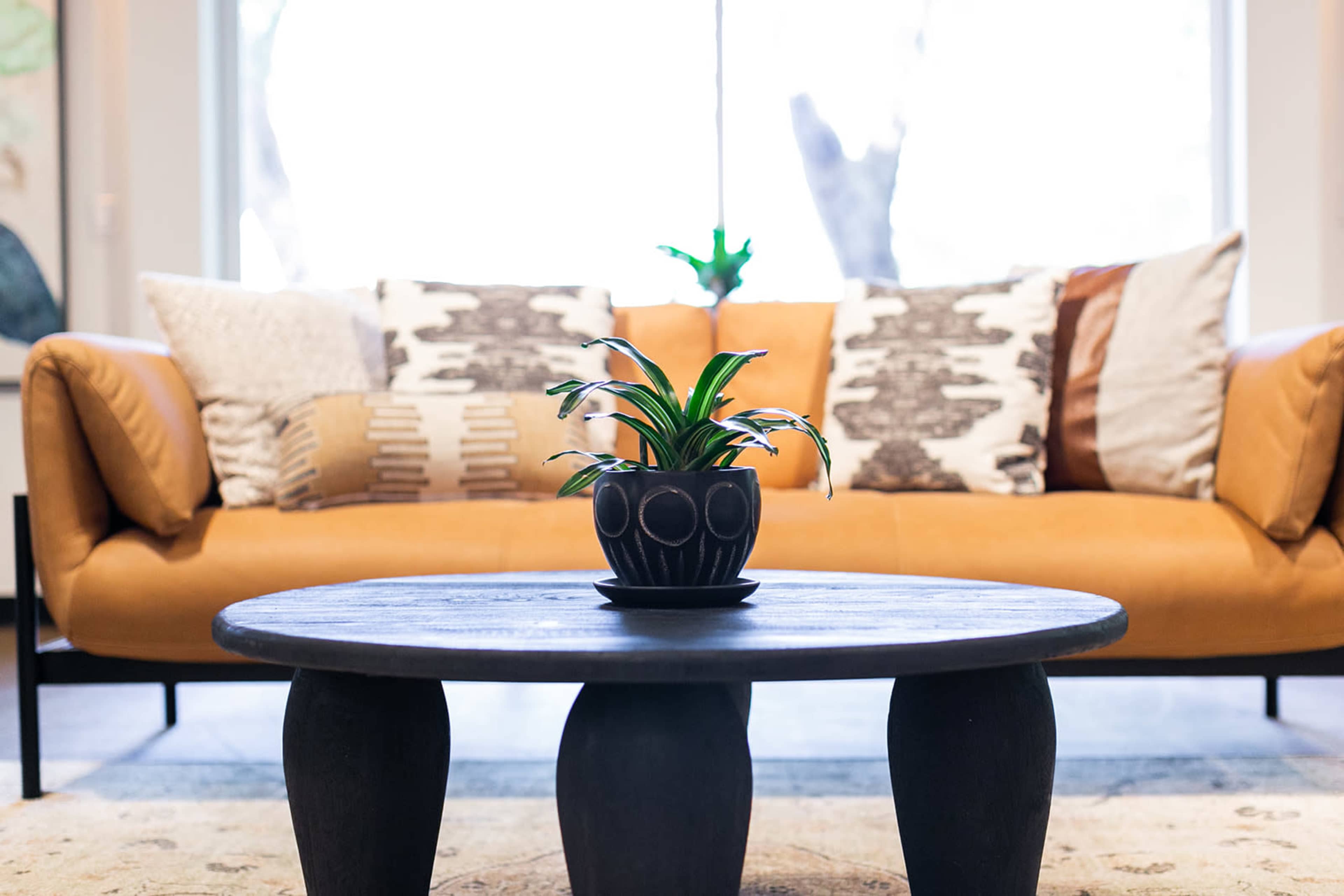 A modern living room features a brown leather sofa with patterned pillows and a low black coffee table holding a small potted plant.