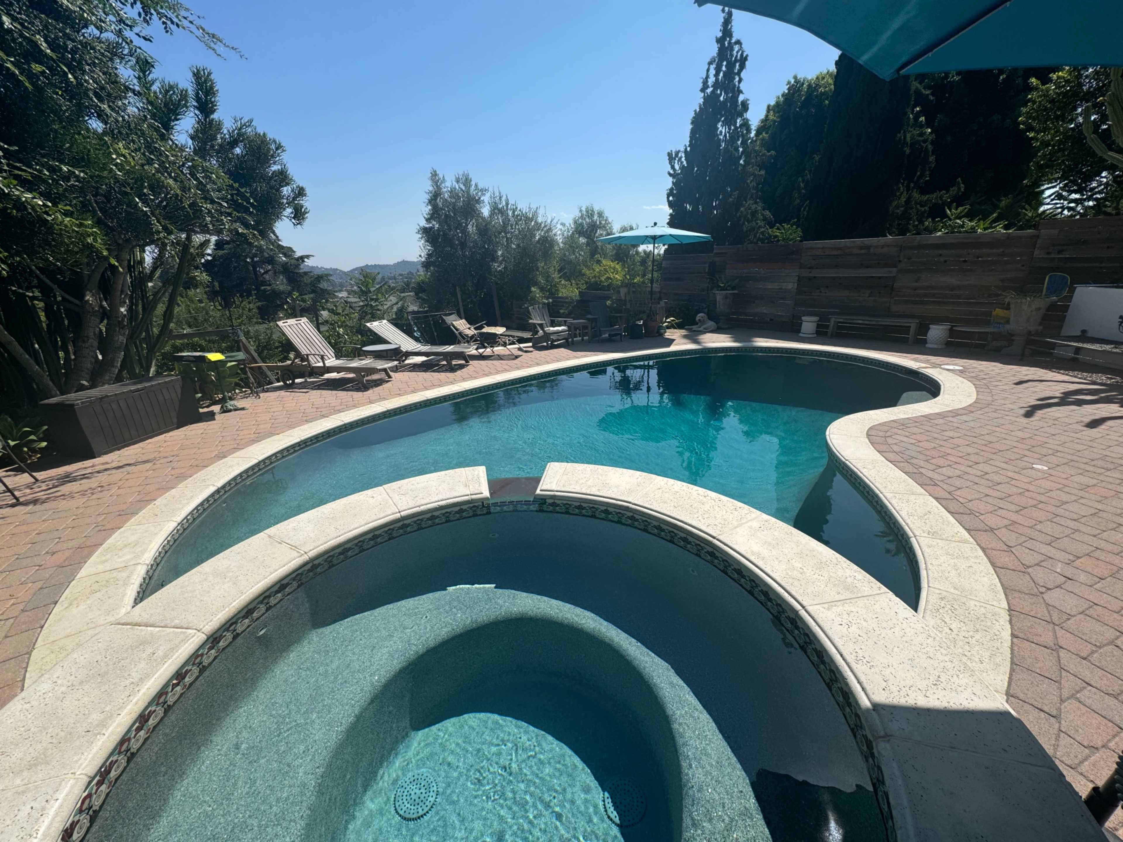 The image shows a backyard pool area with a curved pool, a spa, lounge chairs, and greenery under a clear blue sky.