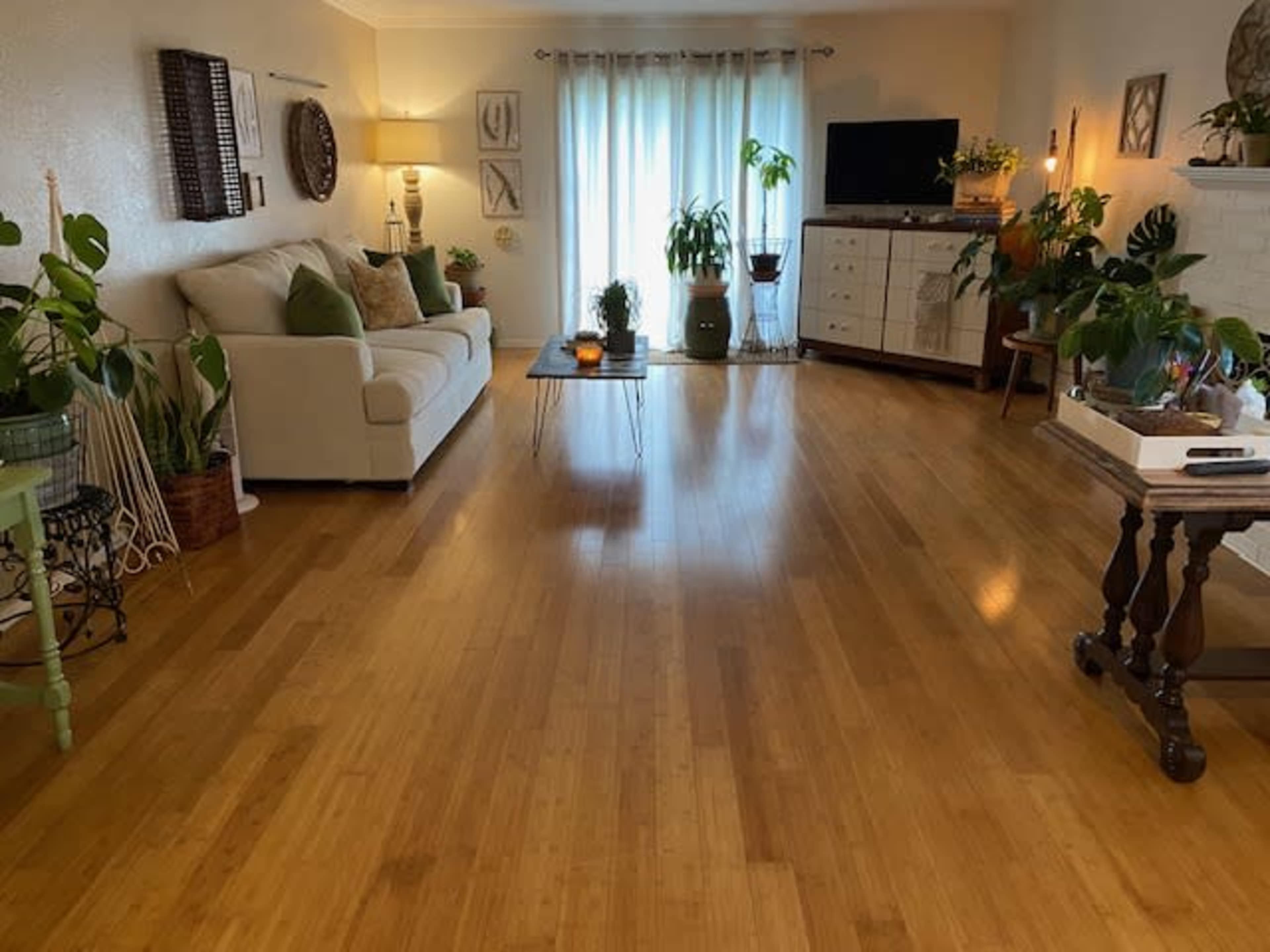 A well-lit living room featuring a white sofa, a television, various indoor plants, and wooden flooring.
